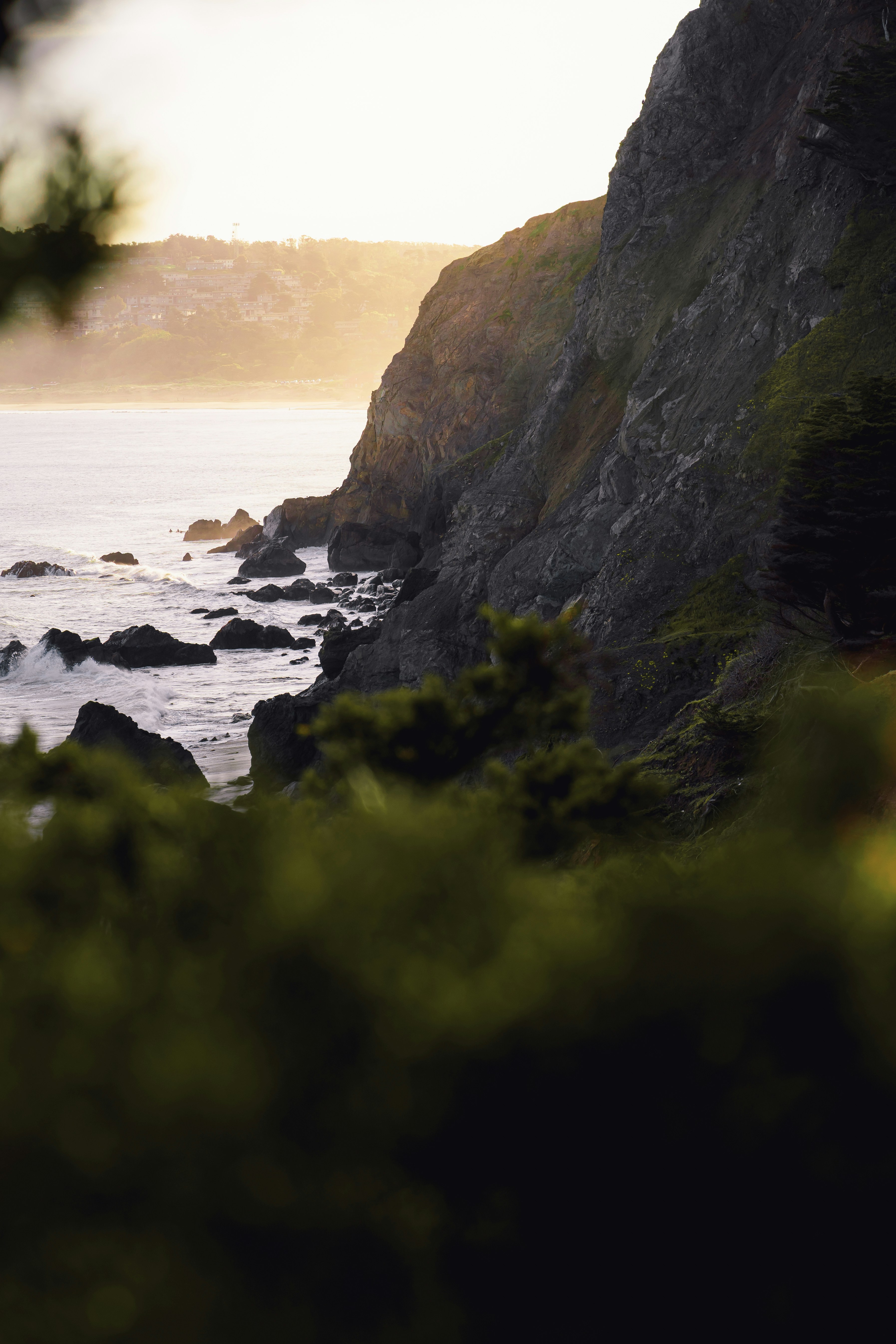 Photo by kalaniparker