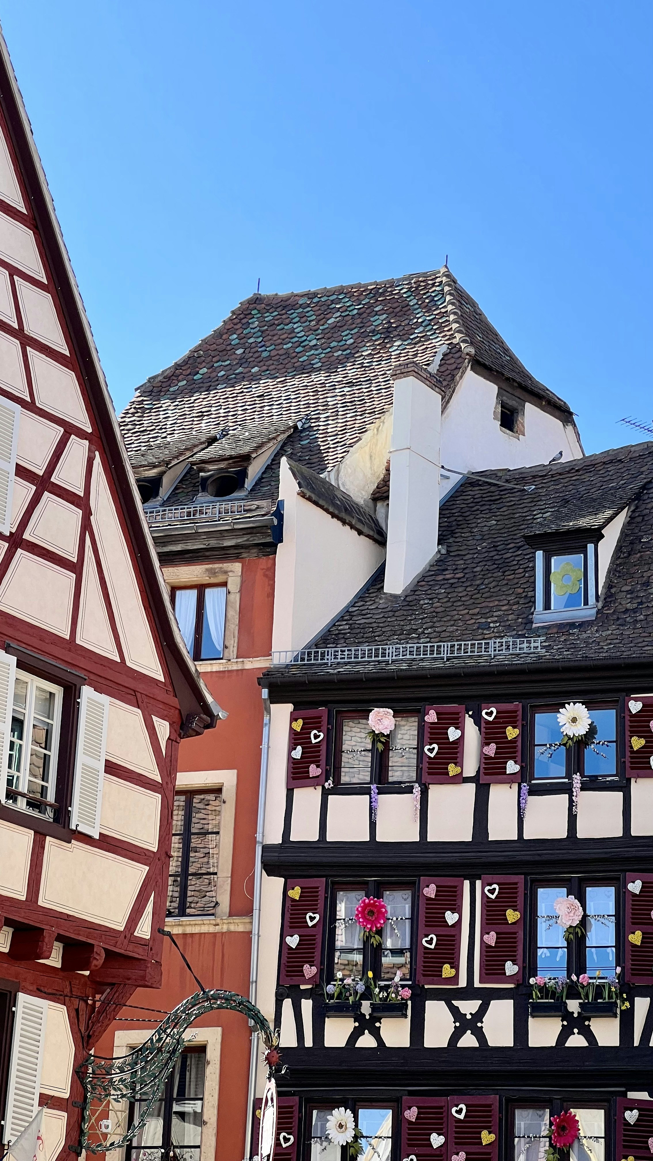 Photo by chrismckflurry