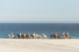 a group of people riding horses on the beach