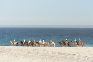 a group of people riding horses on the beach
