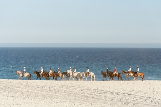 a group of people riding horses on the beach