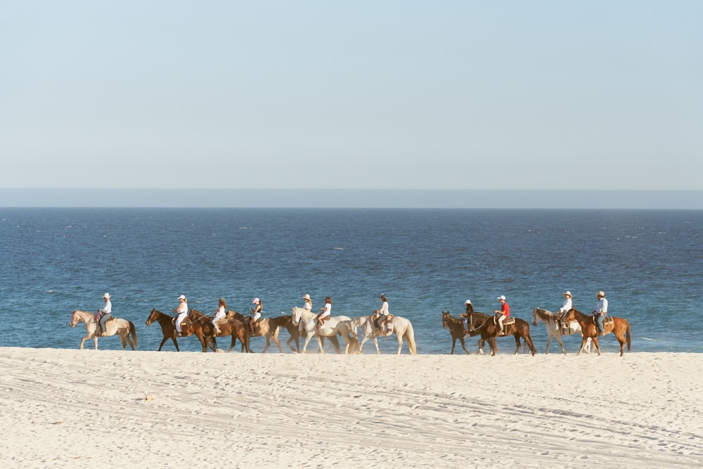 a group of people riding horses on the beach