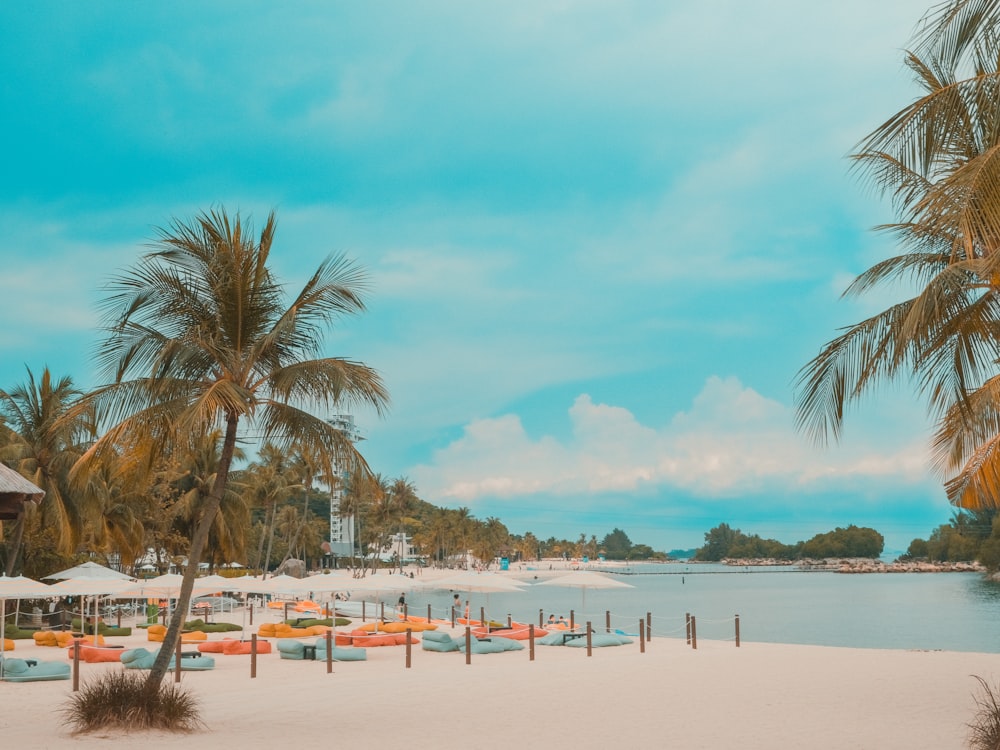 a sandy beach with palm trees and umbrellas