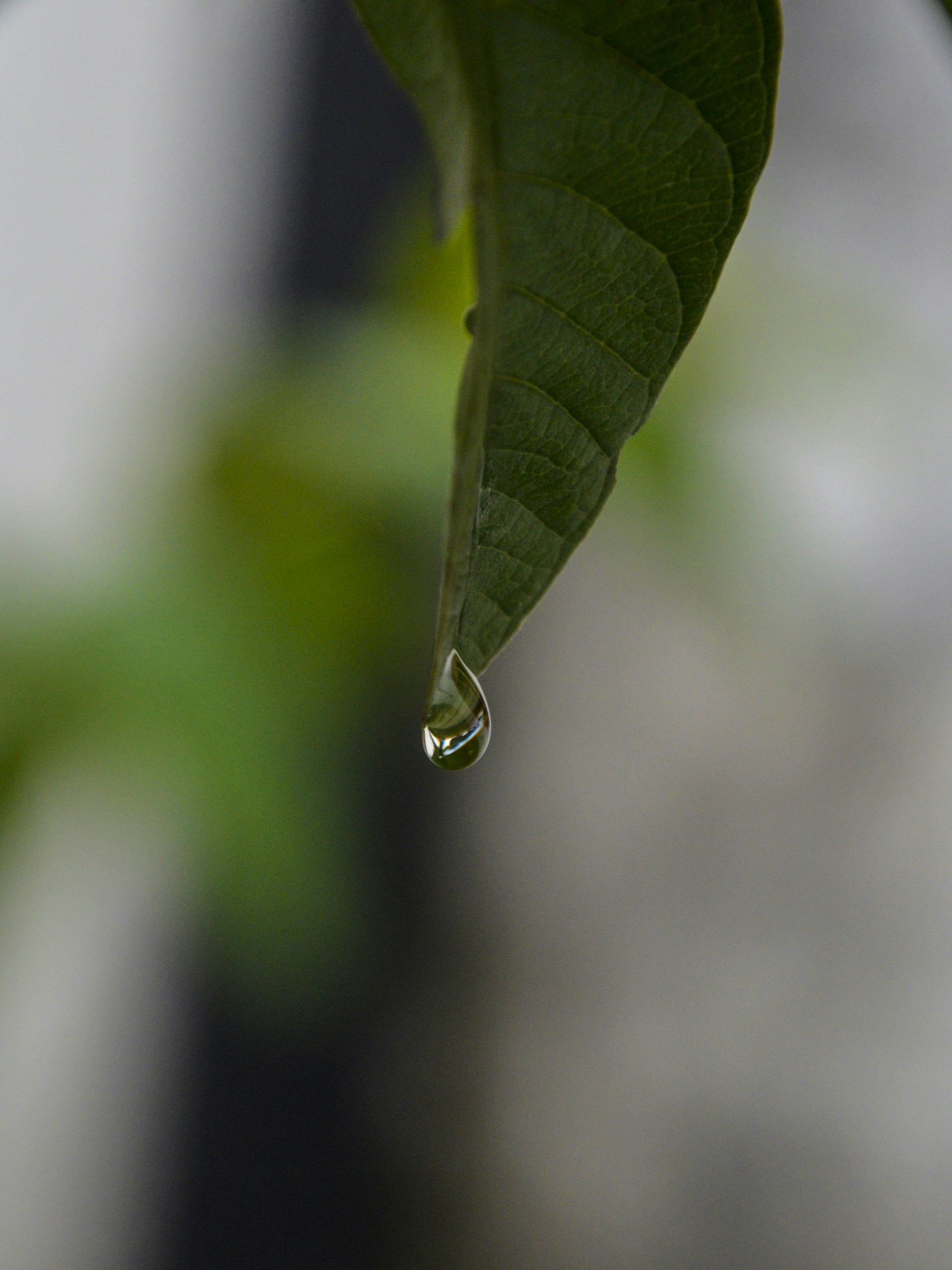 Photo by devang_punia