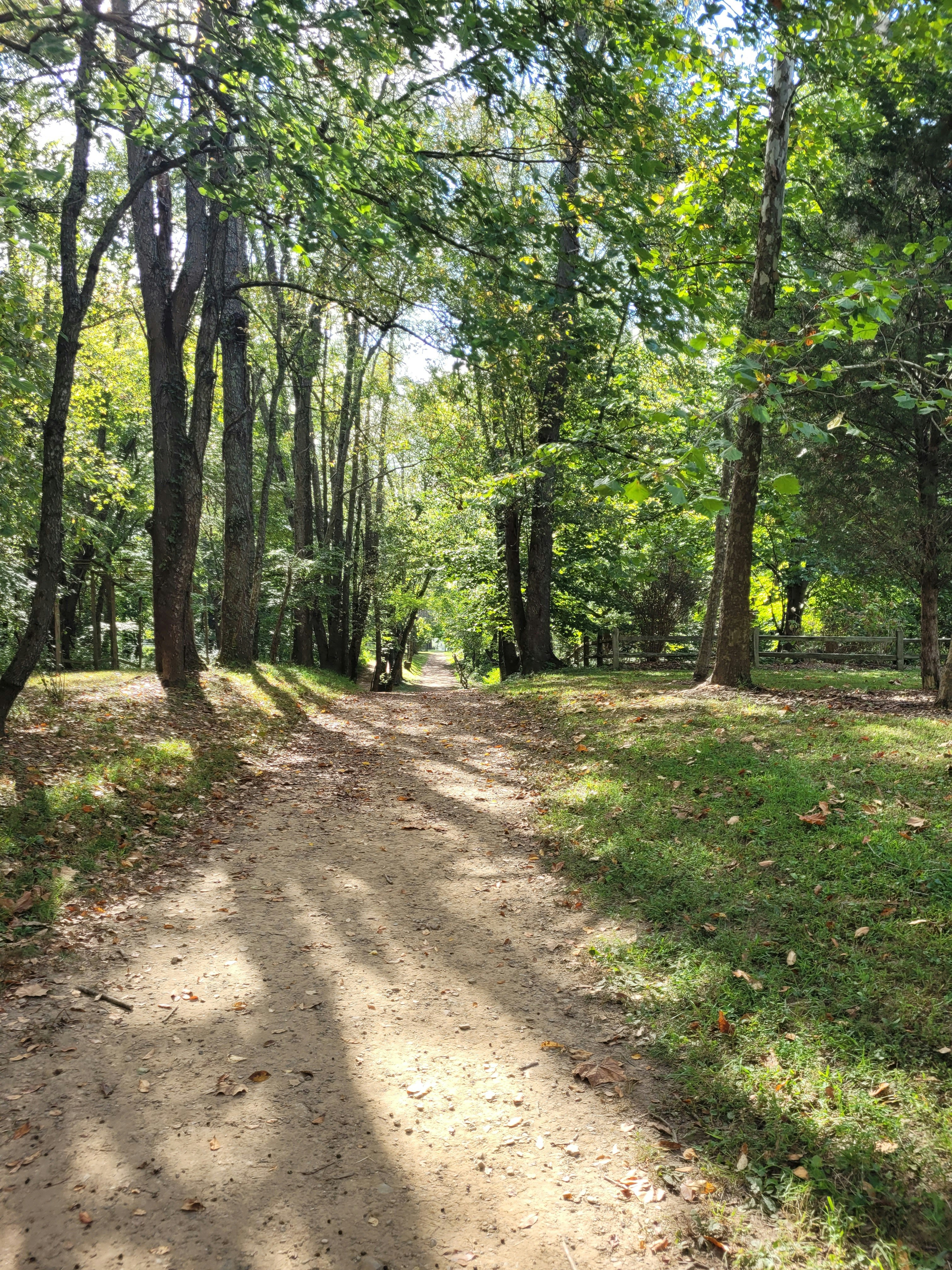 Photo by liliesandroses