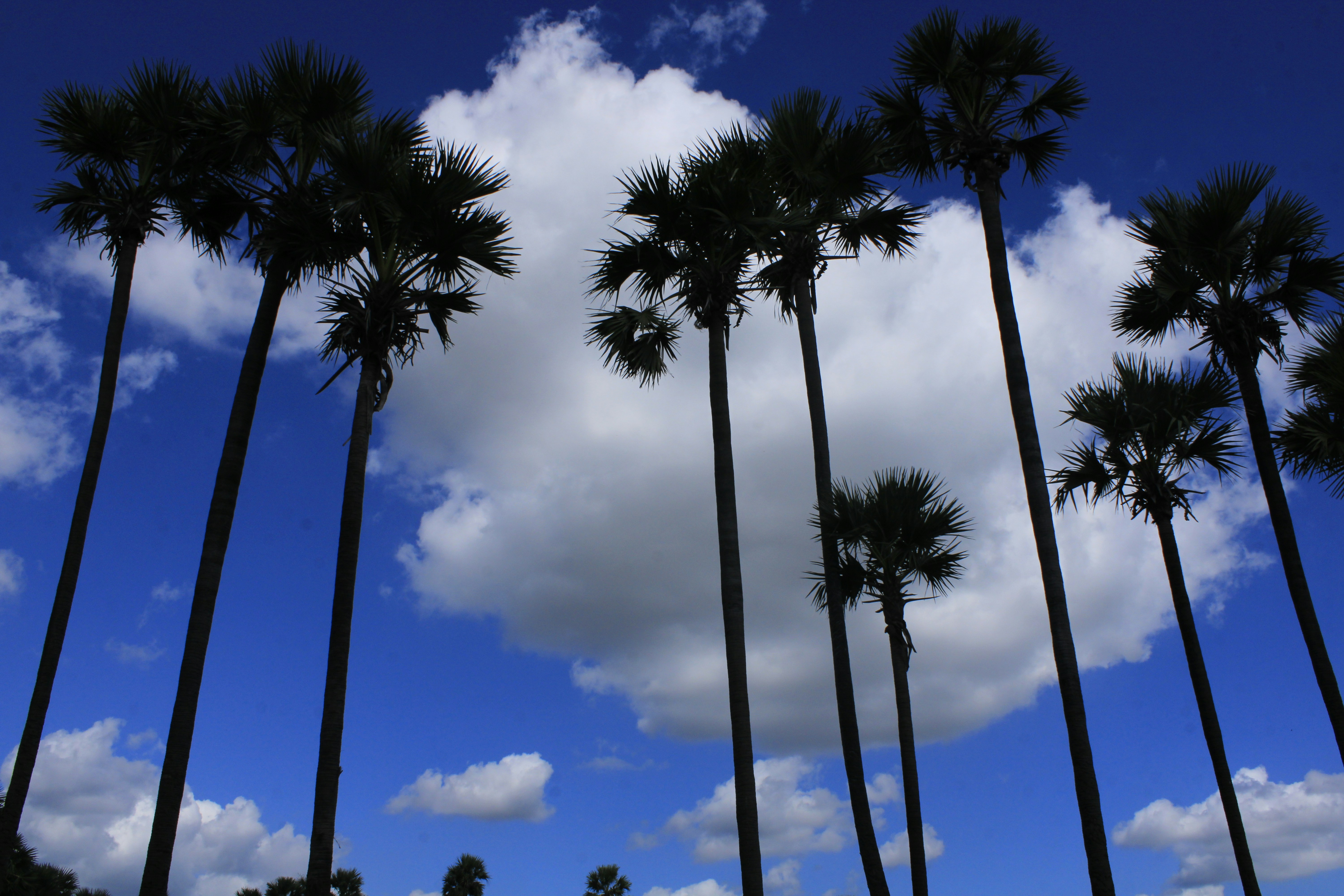 calm blue sky, ilustrasi artikel Wedding Week Warrior: Essential Self-Care for a Blissful Big Day 3