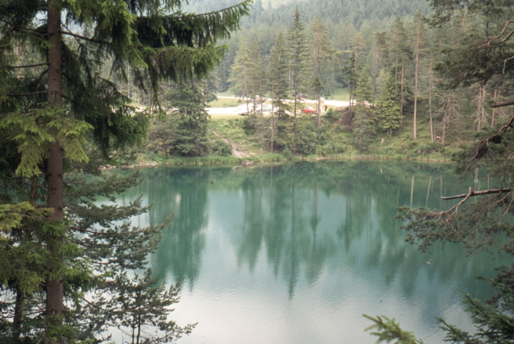 a large body of water surrounded by trees