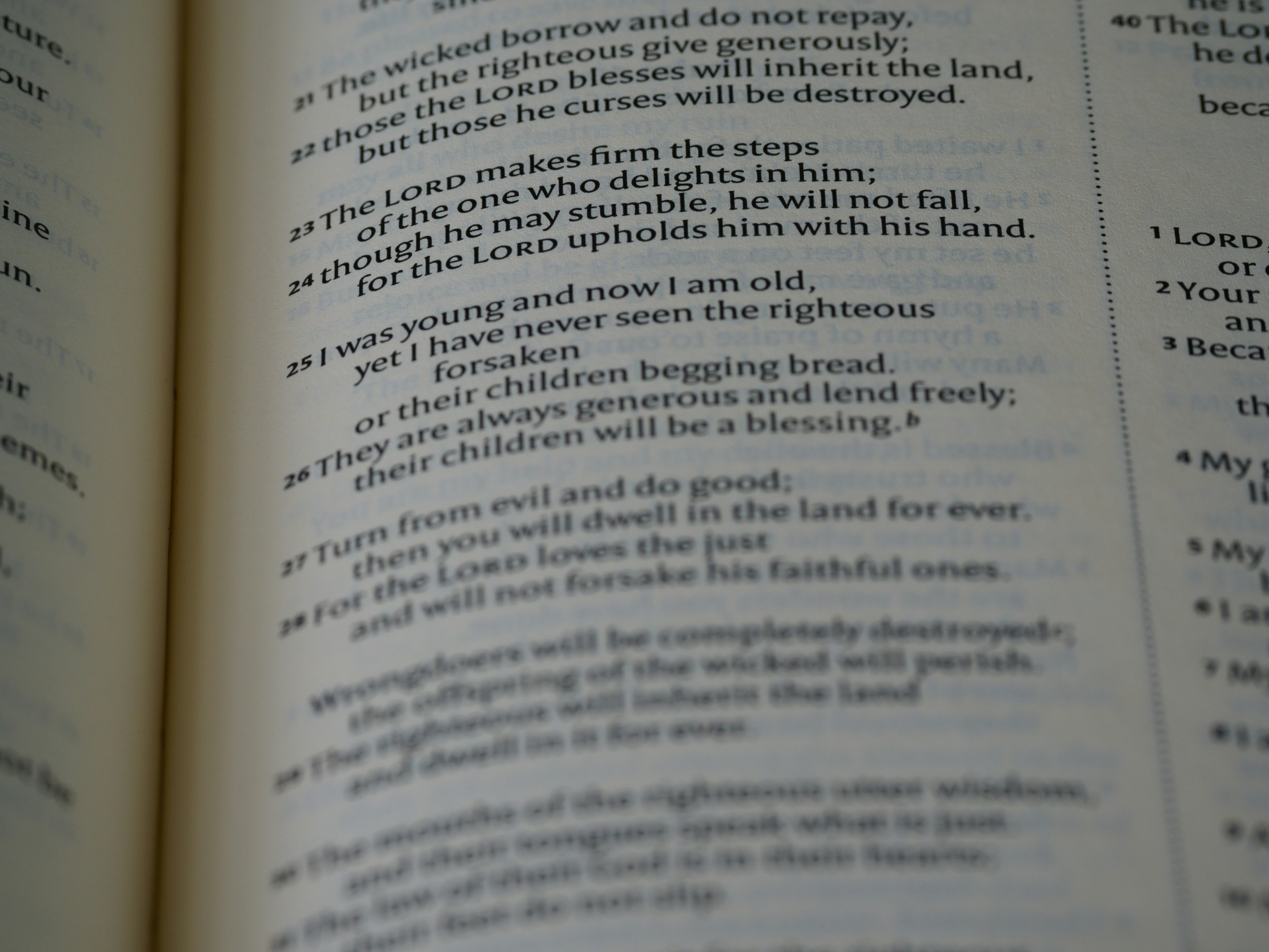 a close up of a book with an open page