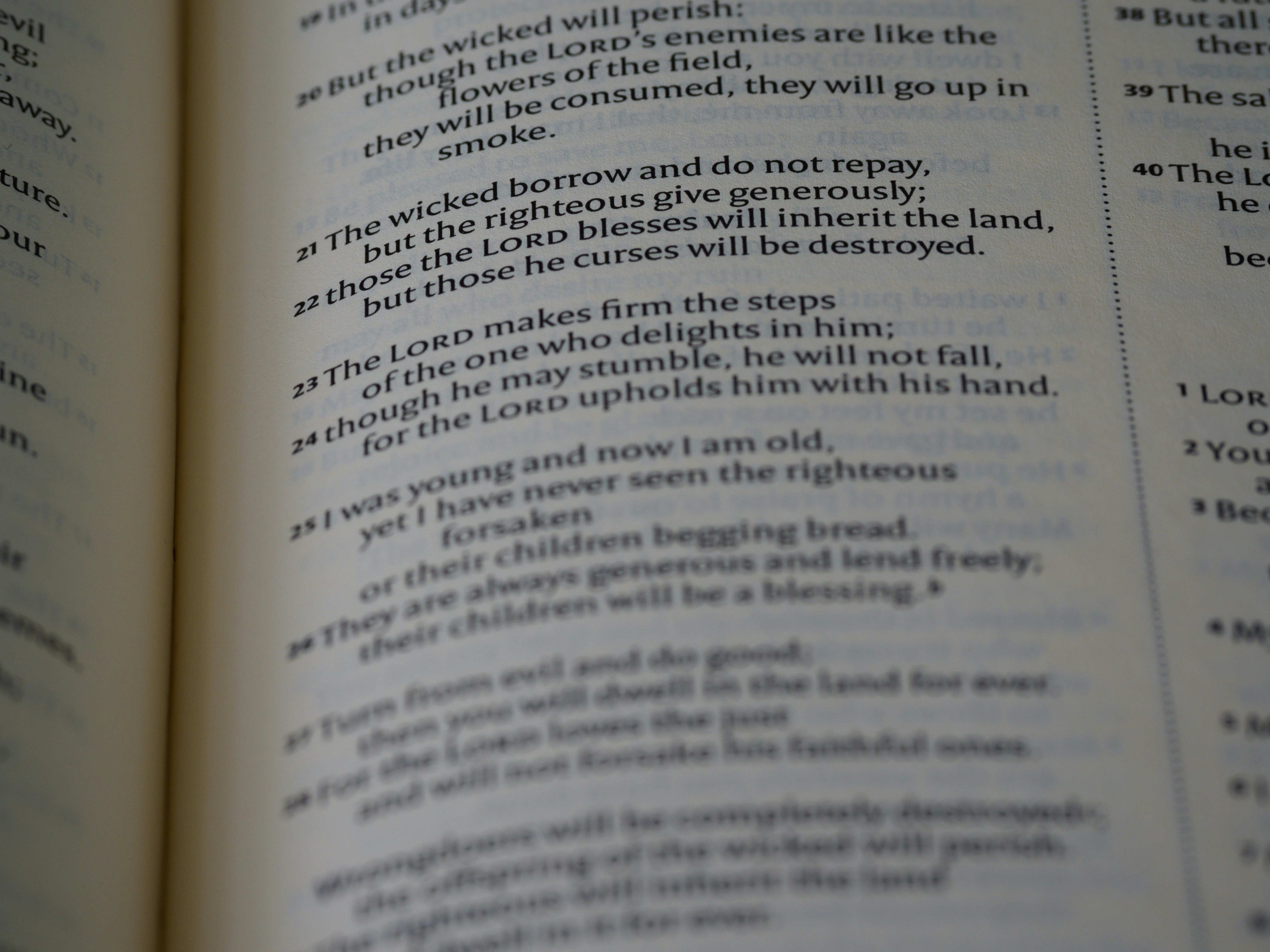 Nahaufnahme eines Buches mit einer geöffneten Seite