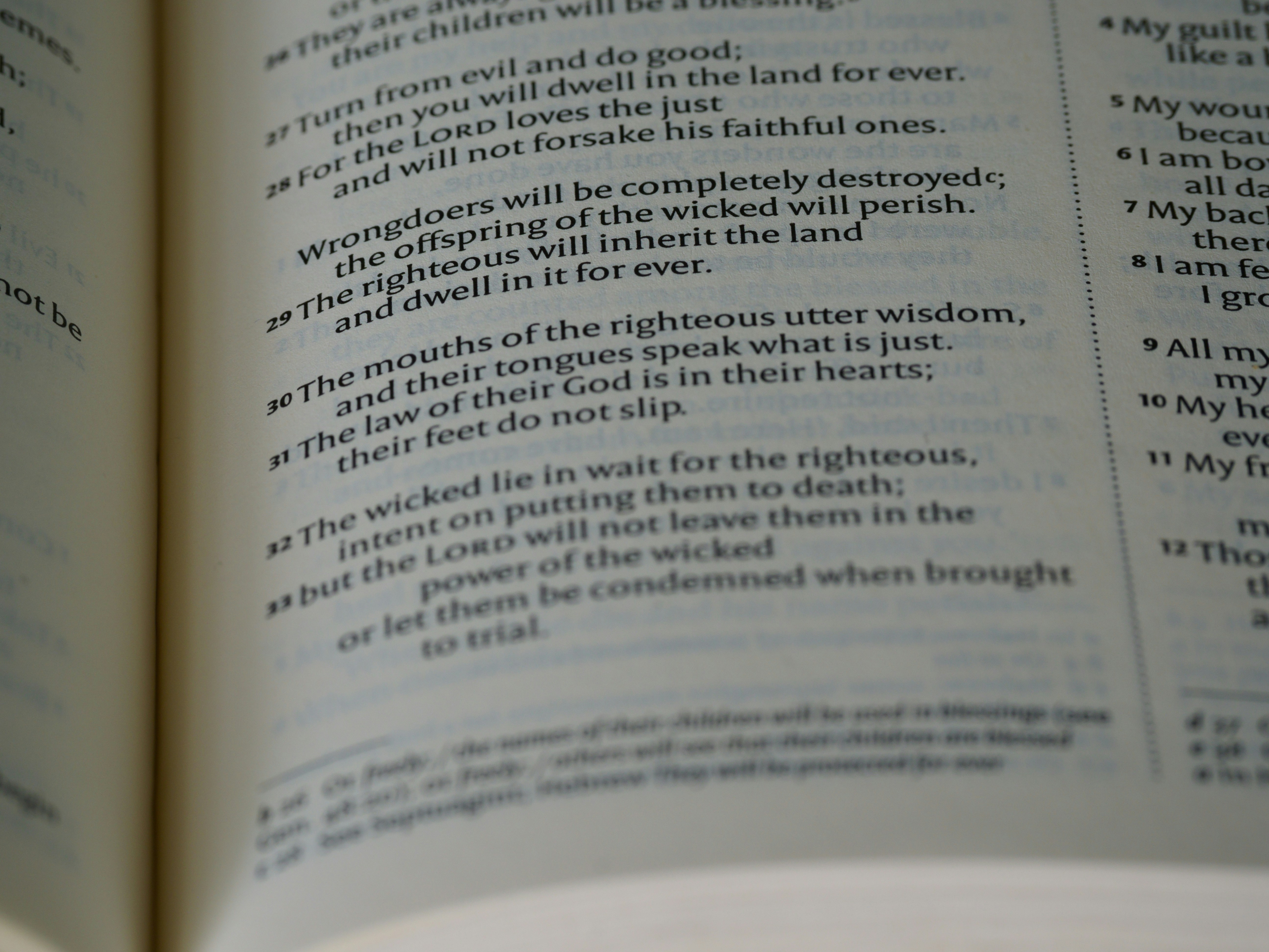 Verse Itu Apa? Kamu Pasti Bisa Menguasai Dasar-dasarnya.