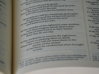 a close up of a book with an open page