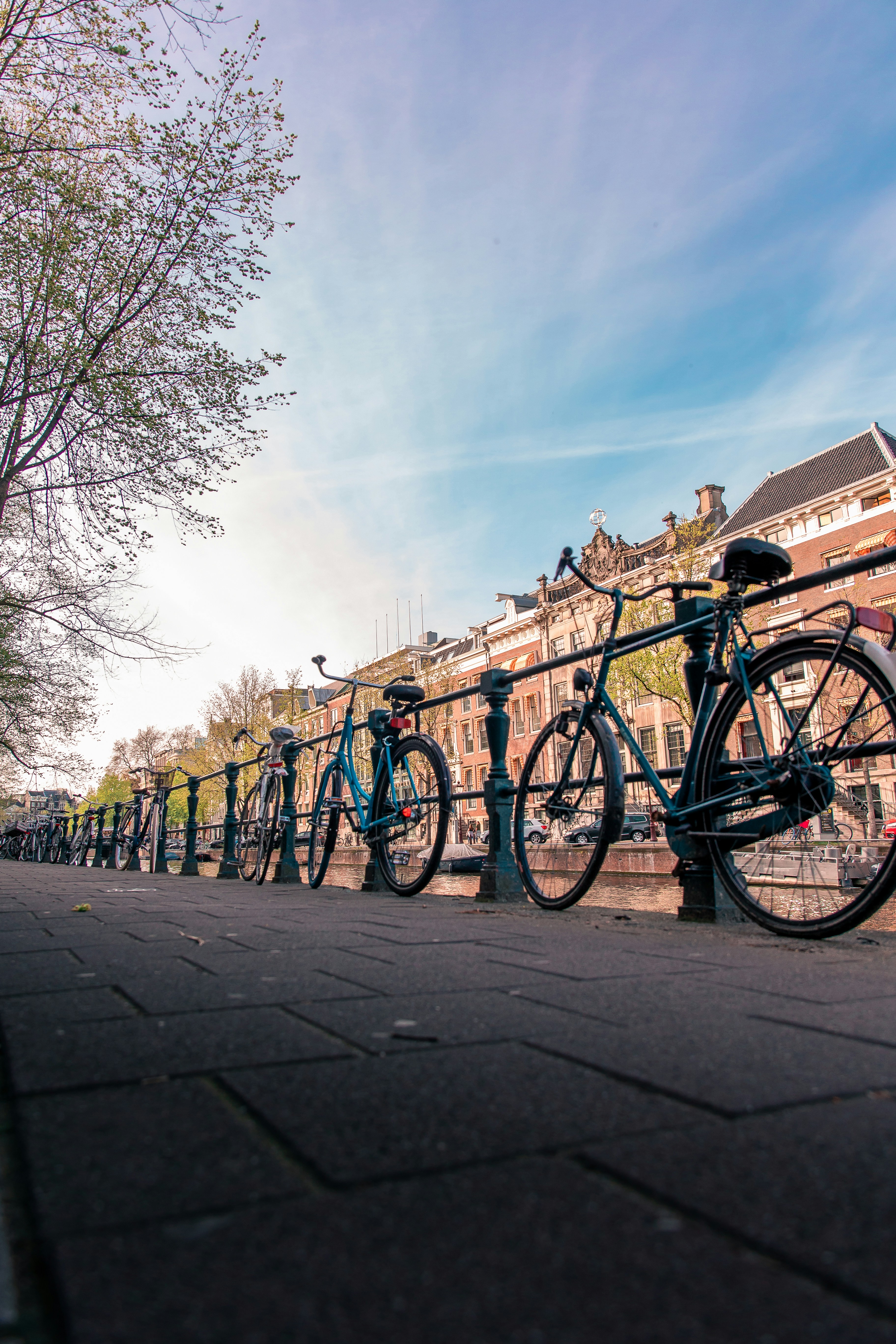 Photo by janoschphotos