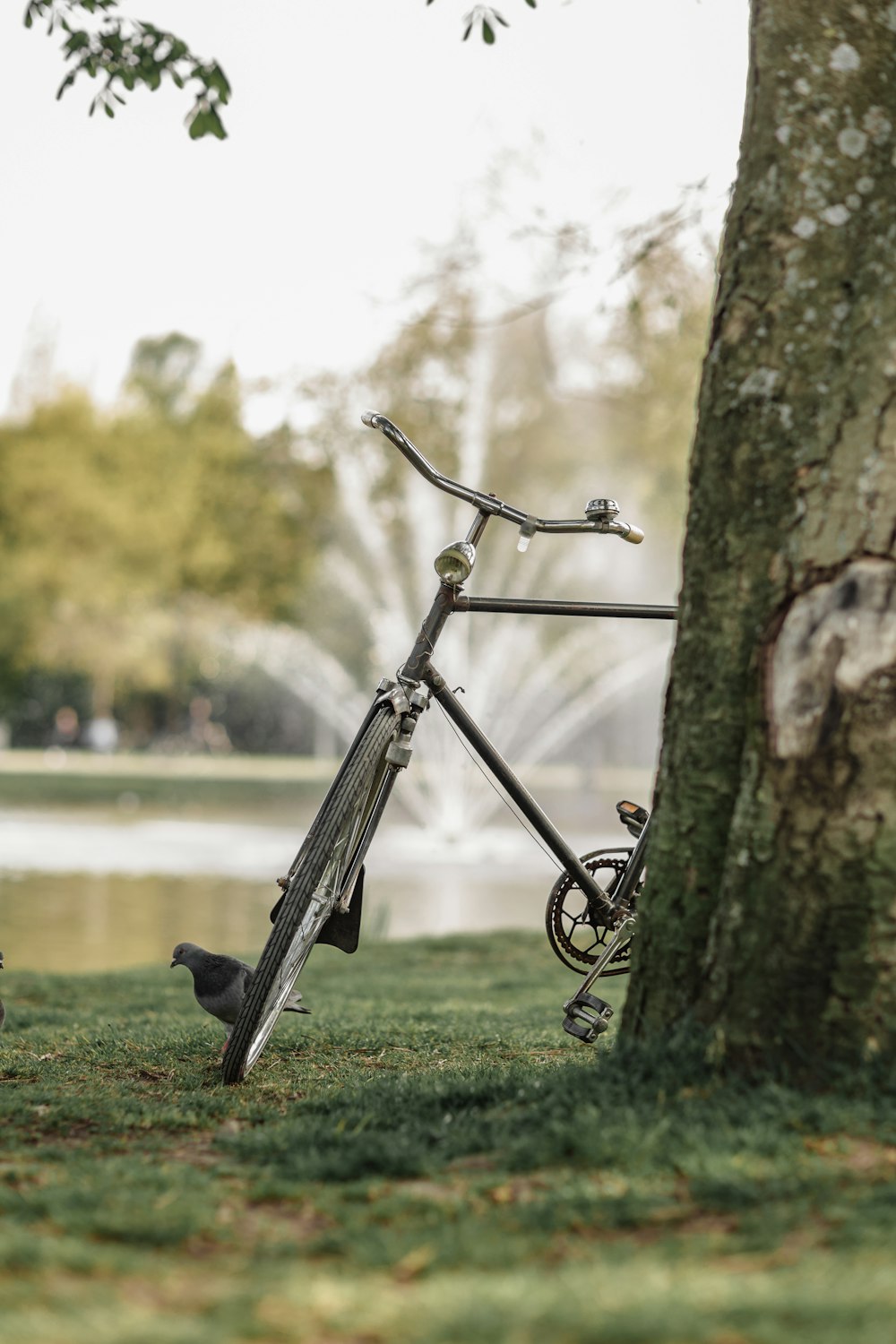 a bicycle leaning against a tree in a park