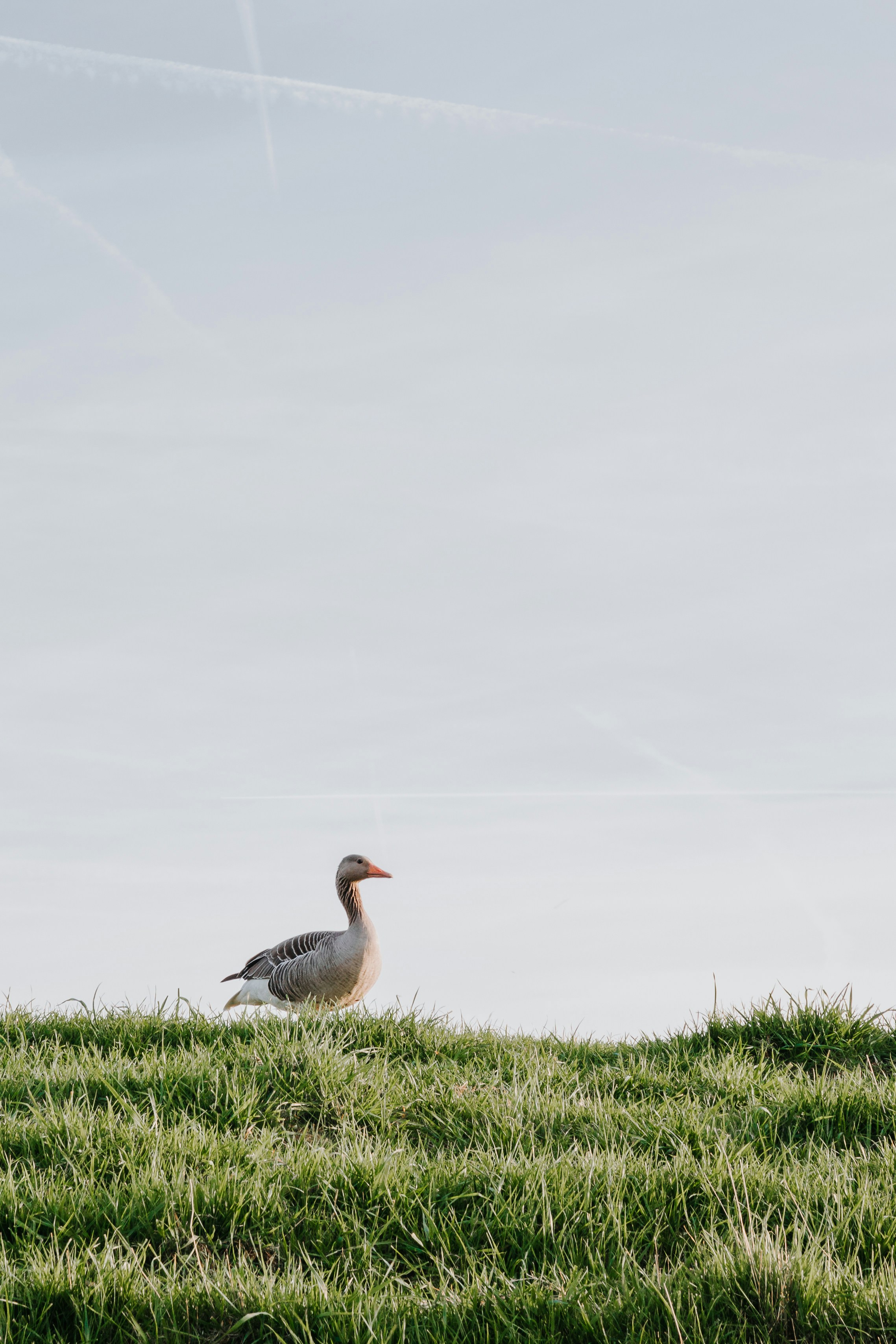 Photo by janoschphotos