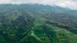 Lush green terraces cascading down the hillsides near Chongqing, framed by misty mountains.