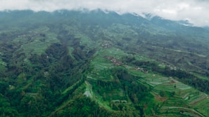 Lush green terraces cascading down the hillsides near Chongqing, framed by misty mountains.