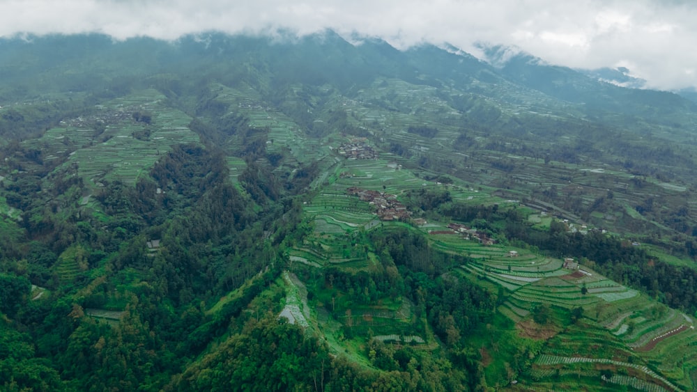 an aerial view of a lush green valley