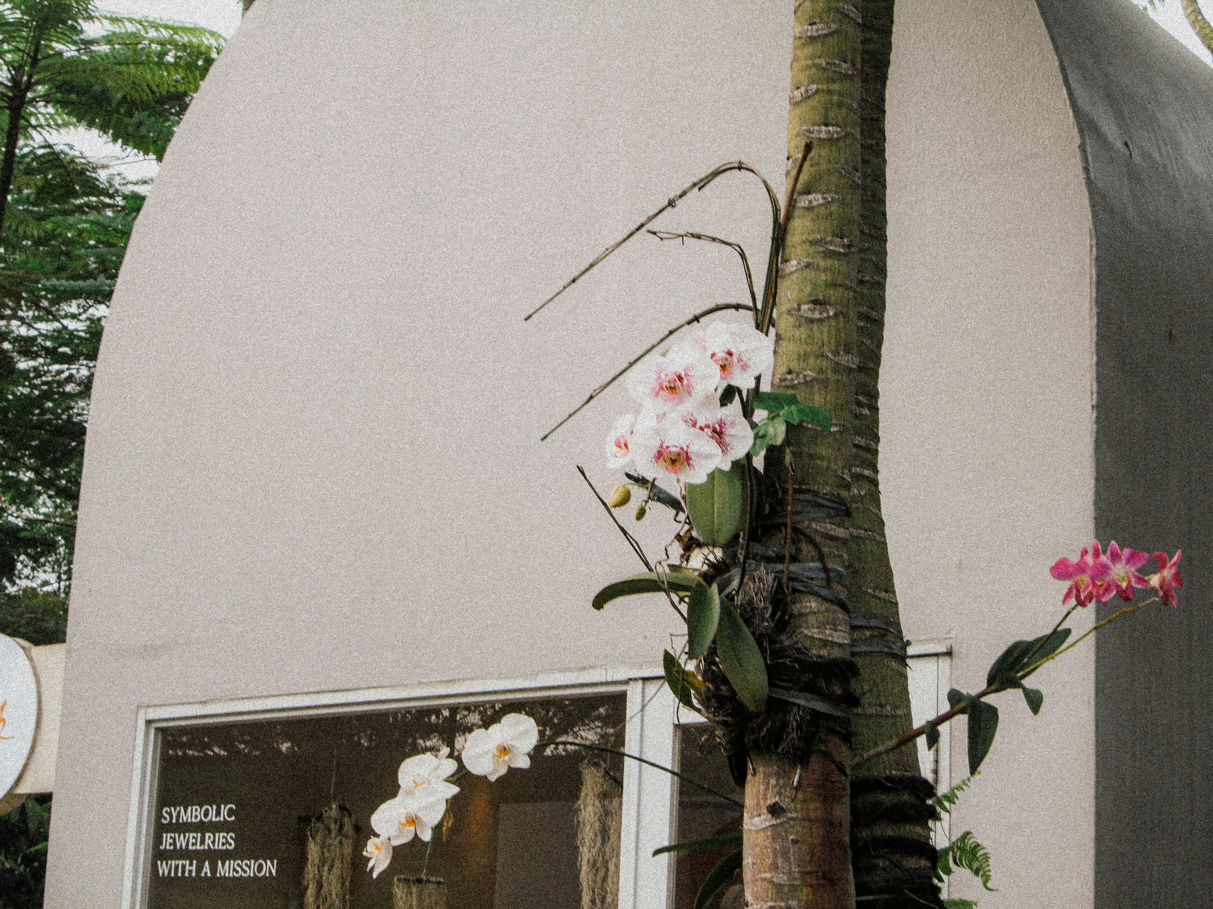 Como Montar uma Torre de Orquídeas para Iniciantes: Dicas, Produtos e Práticas Essenciais