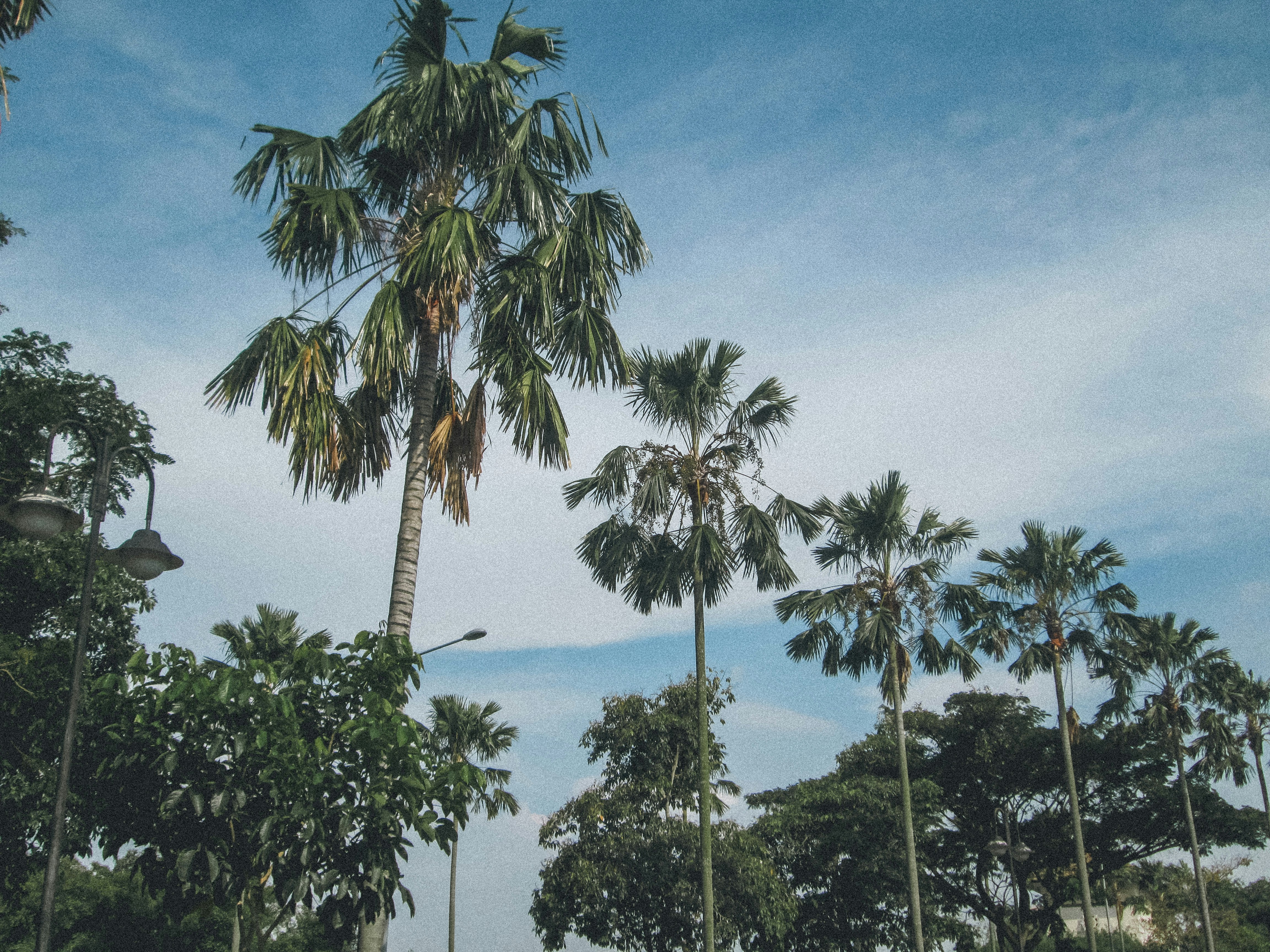 Photo by nindaswargathii23