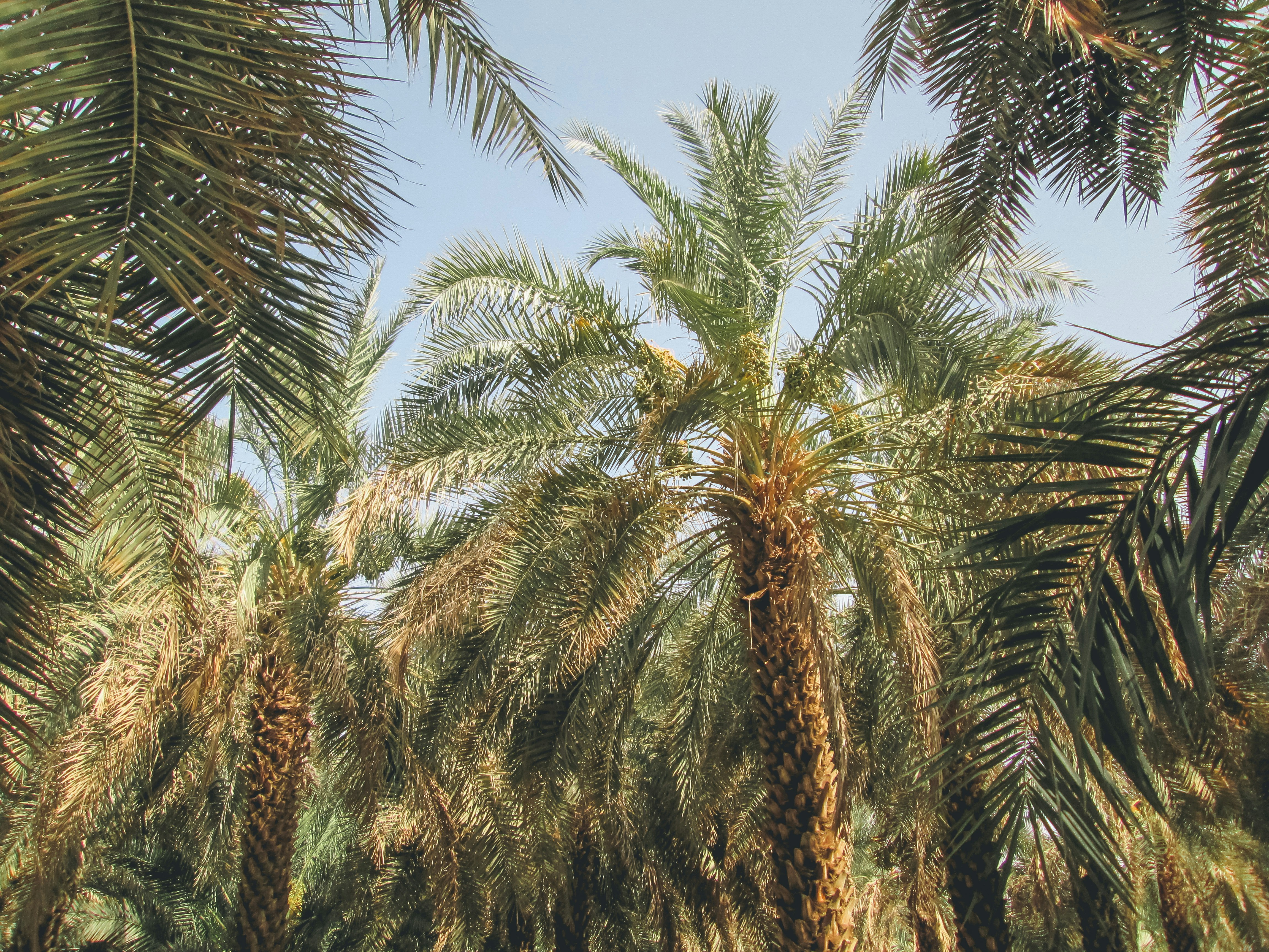 Photo by nindaswargathii23