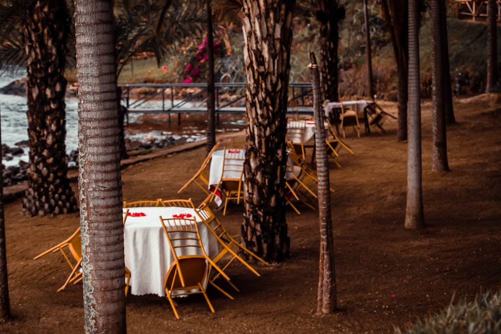 a row of yellow chairs sitting next to a forest filled with palm trees