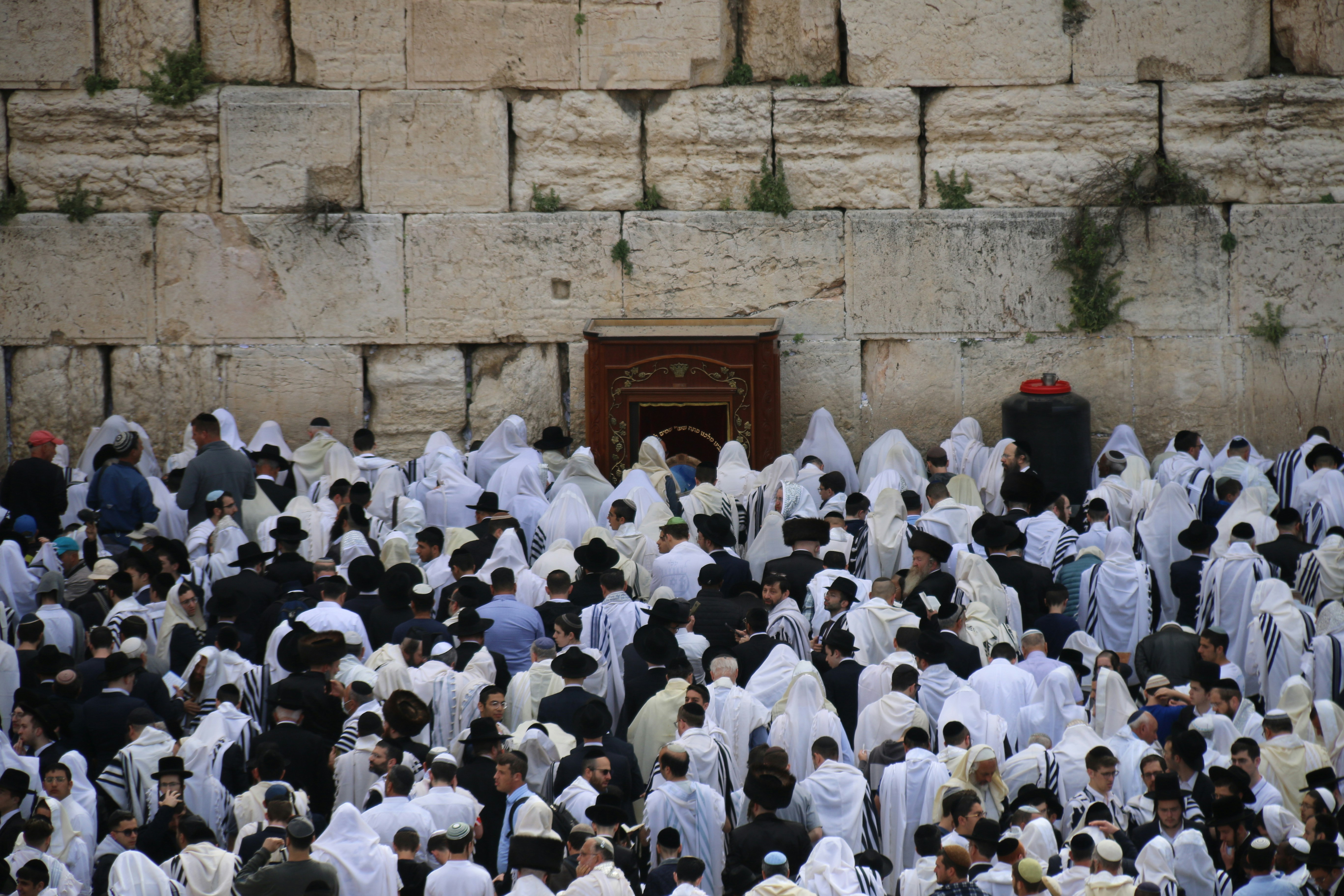 Photo by israelmeir