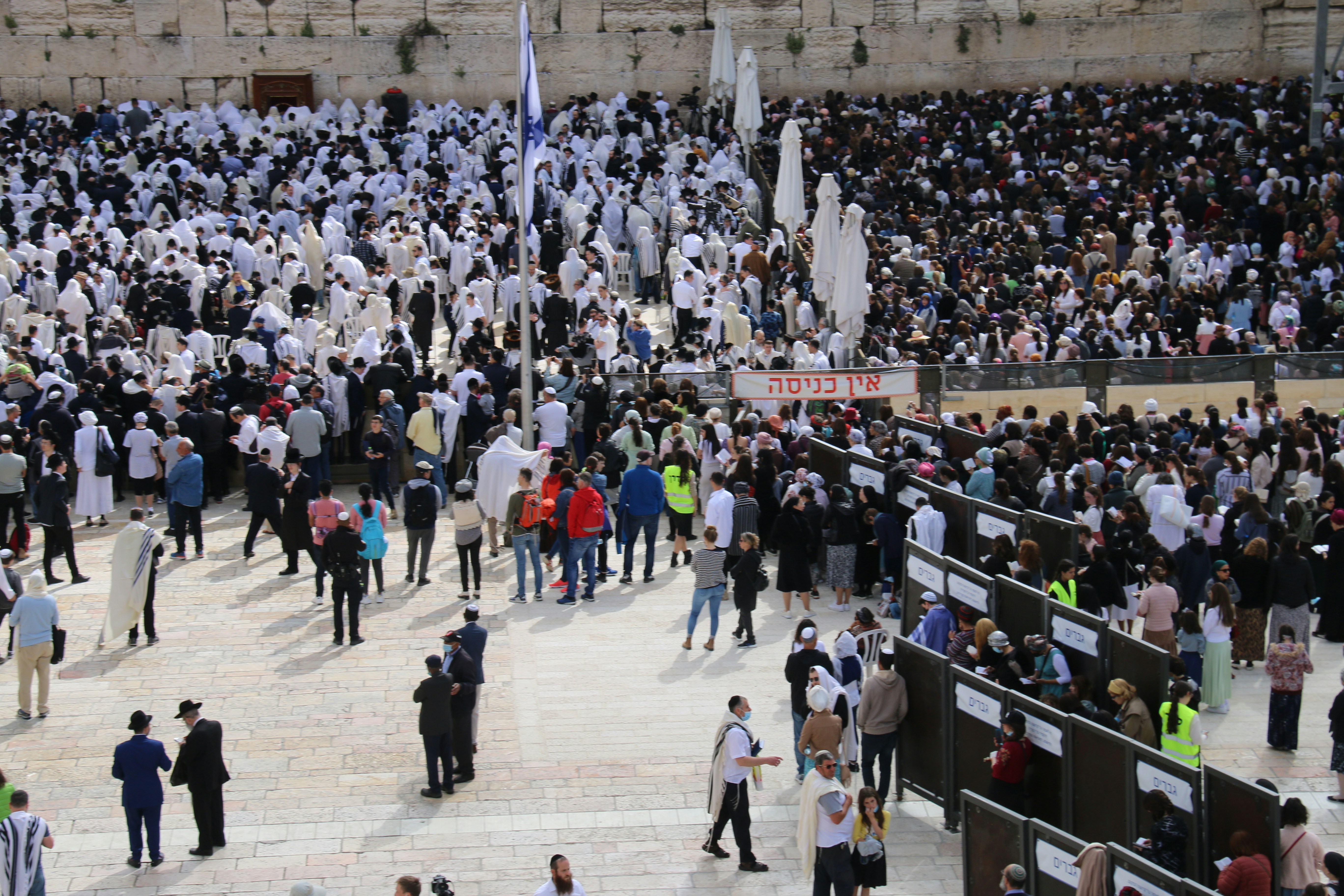 Mastering Crowd Link Building: A Step-by-Step Guide