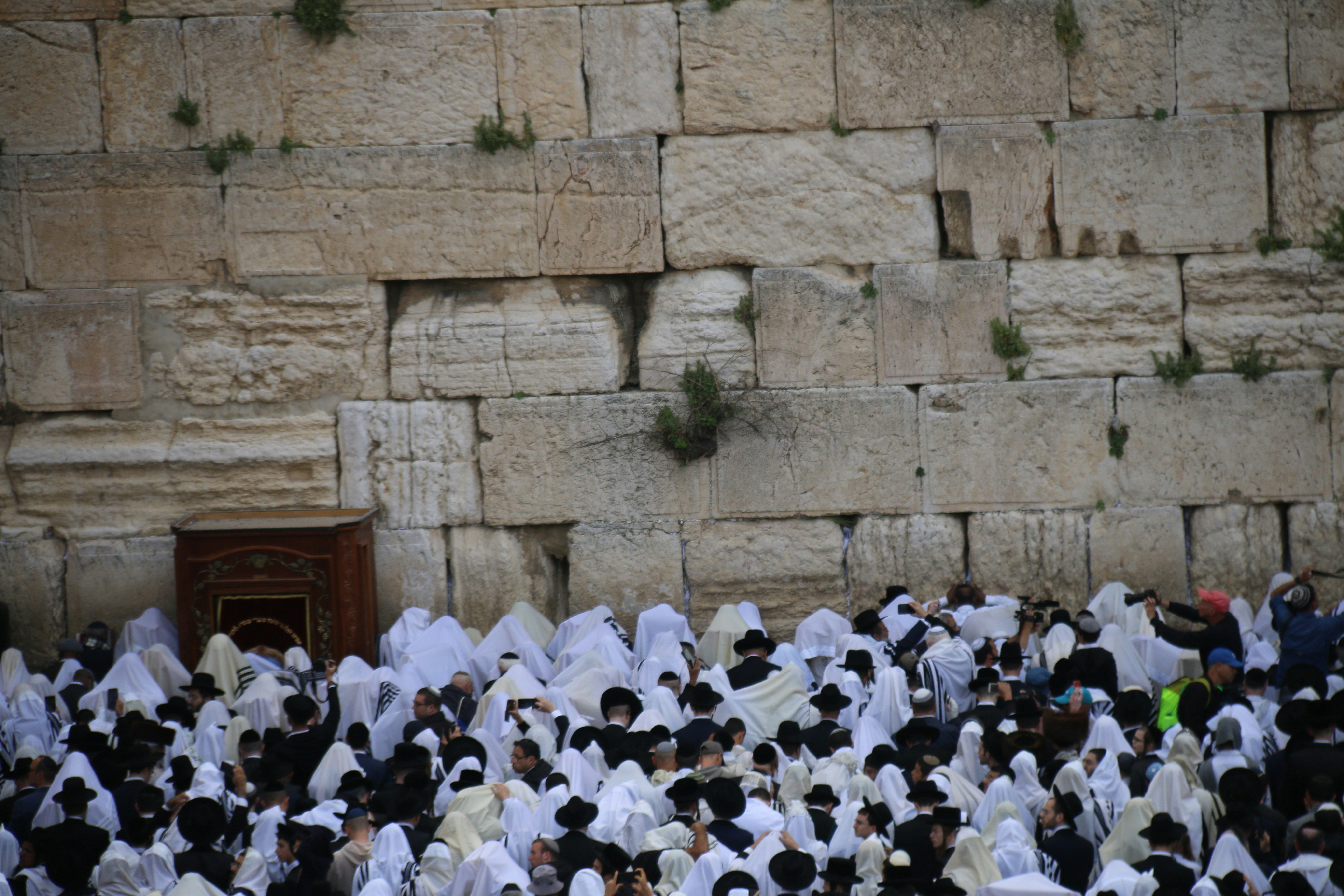Photo by israelmeir