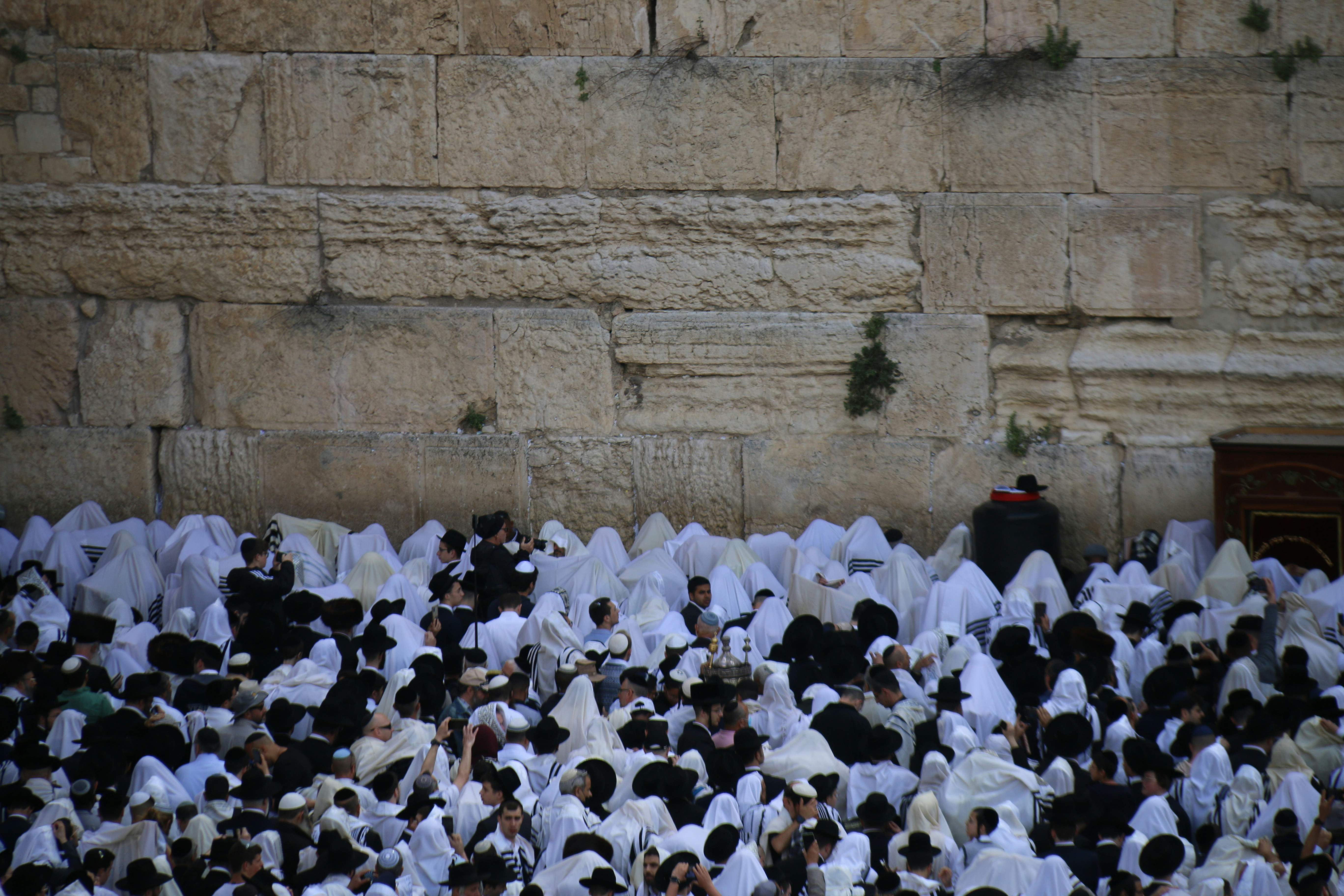 Photo by israelmeir