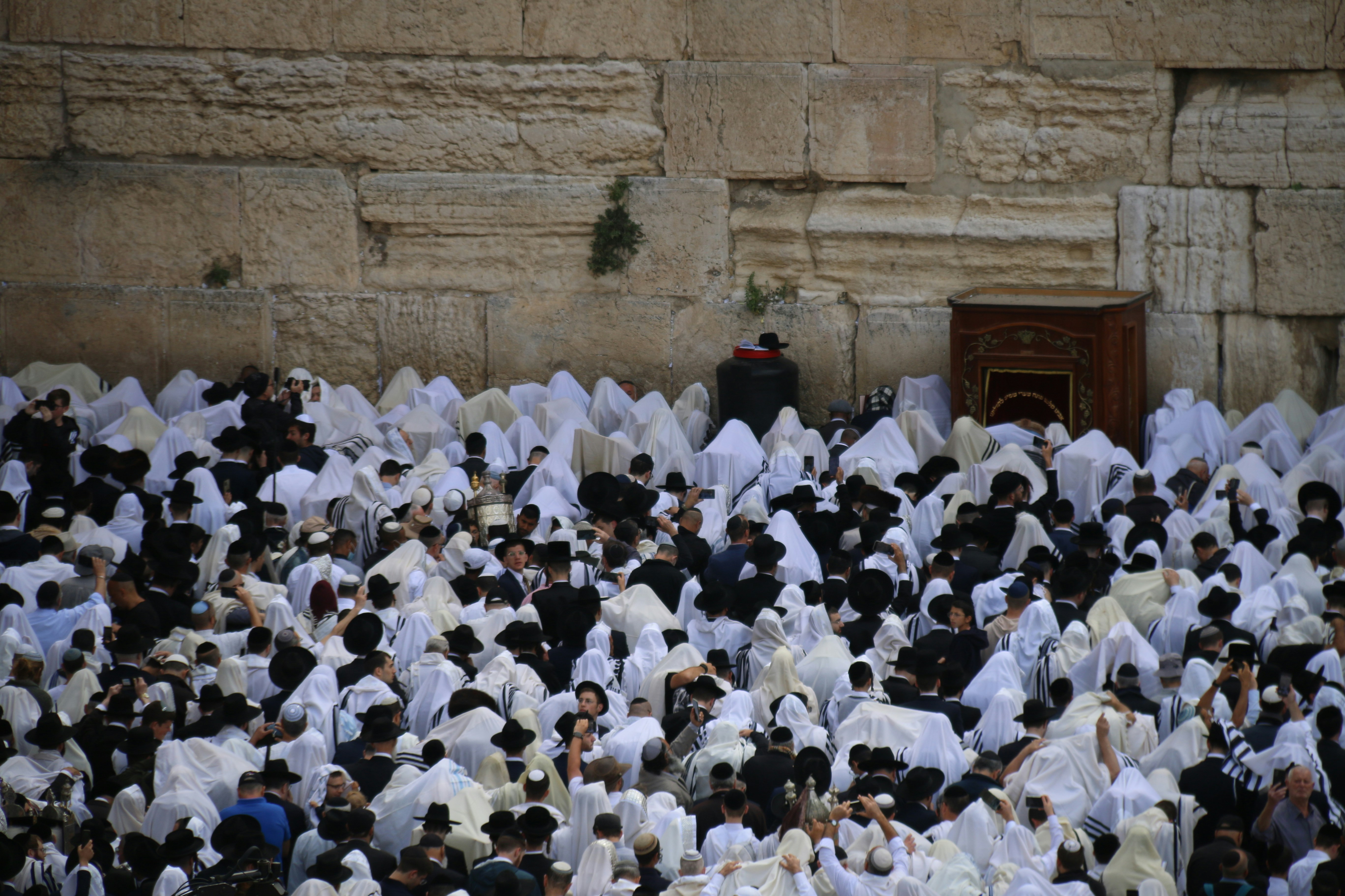 Photo by israelmeir