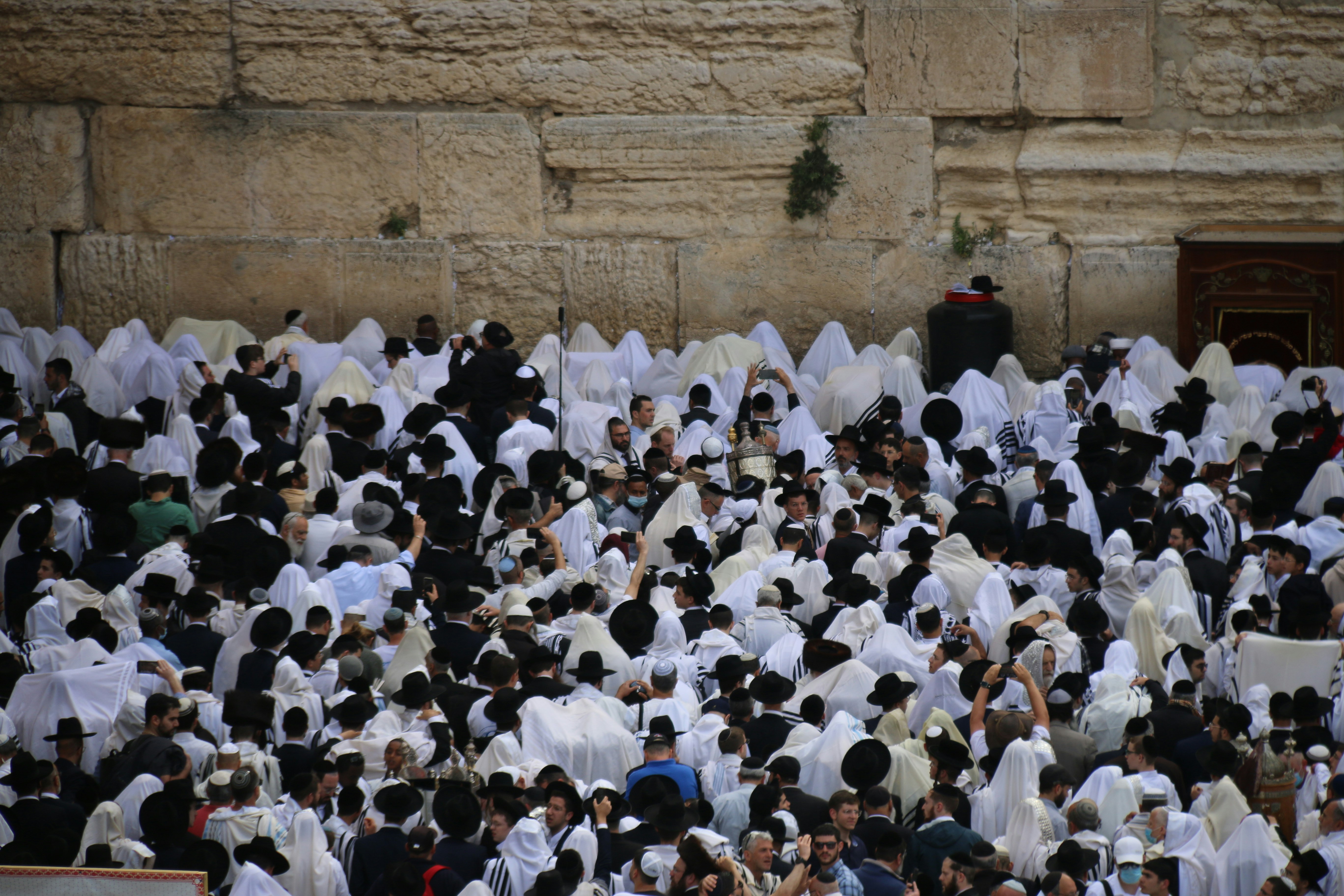 Photo by israelmeir