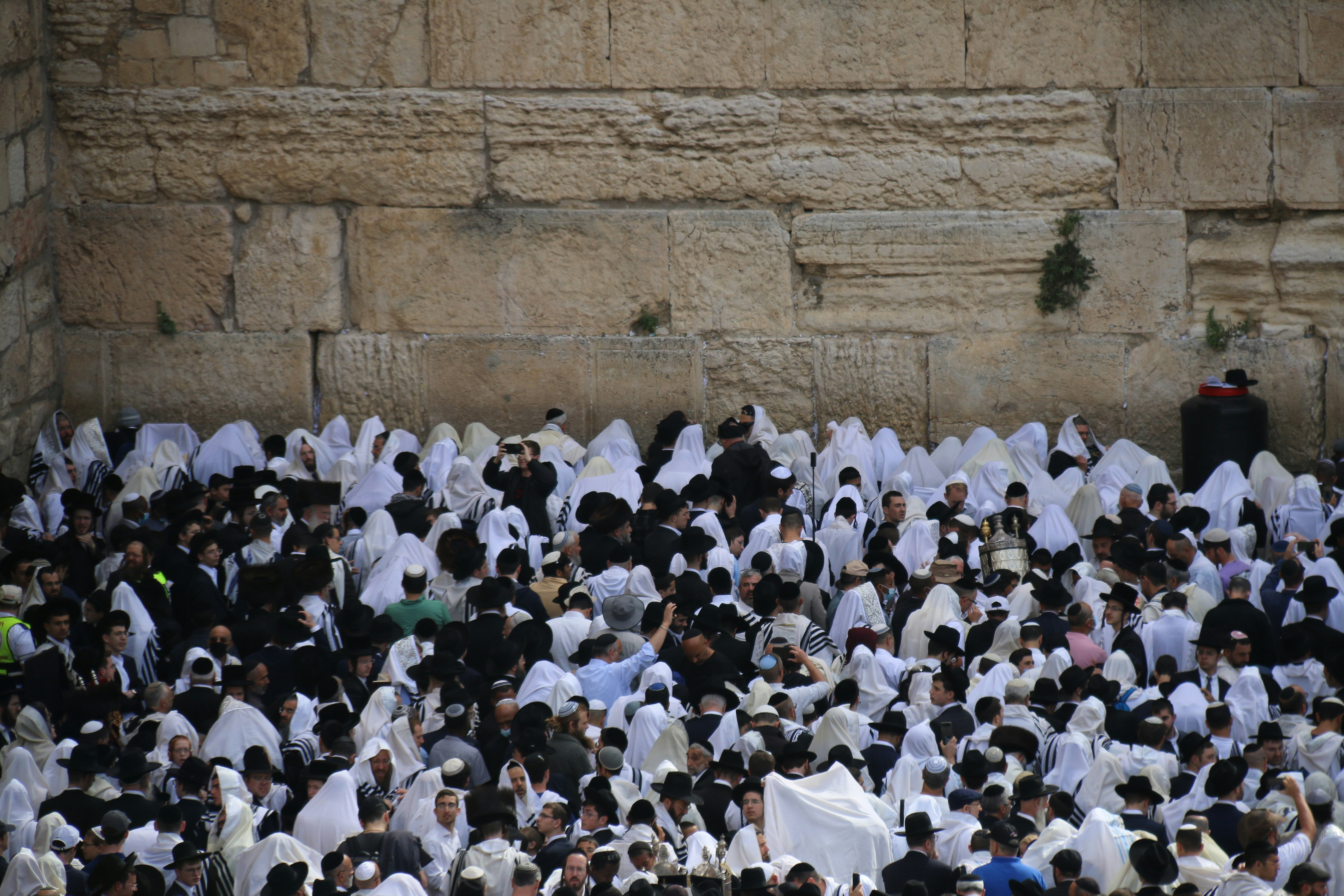 Photo by israelmeir