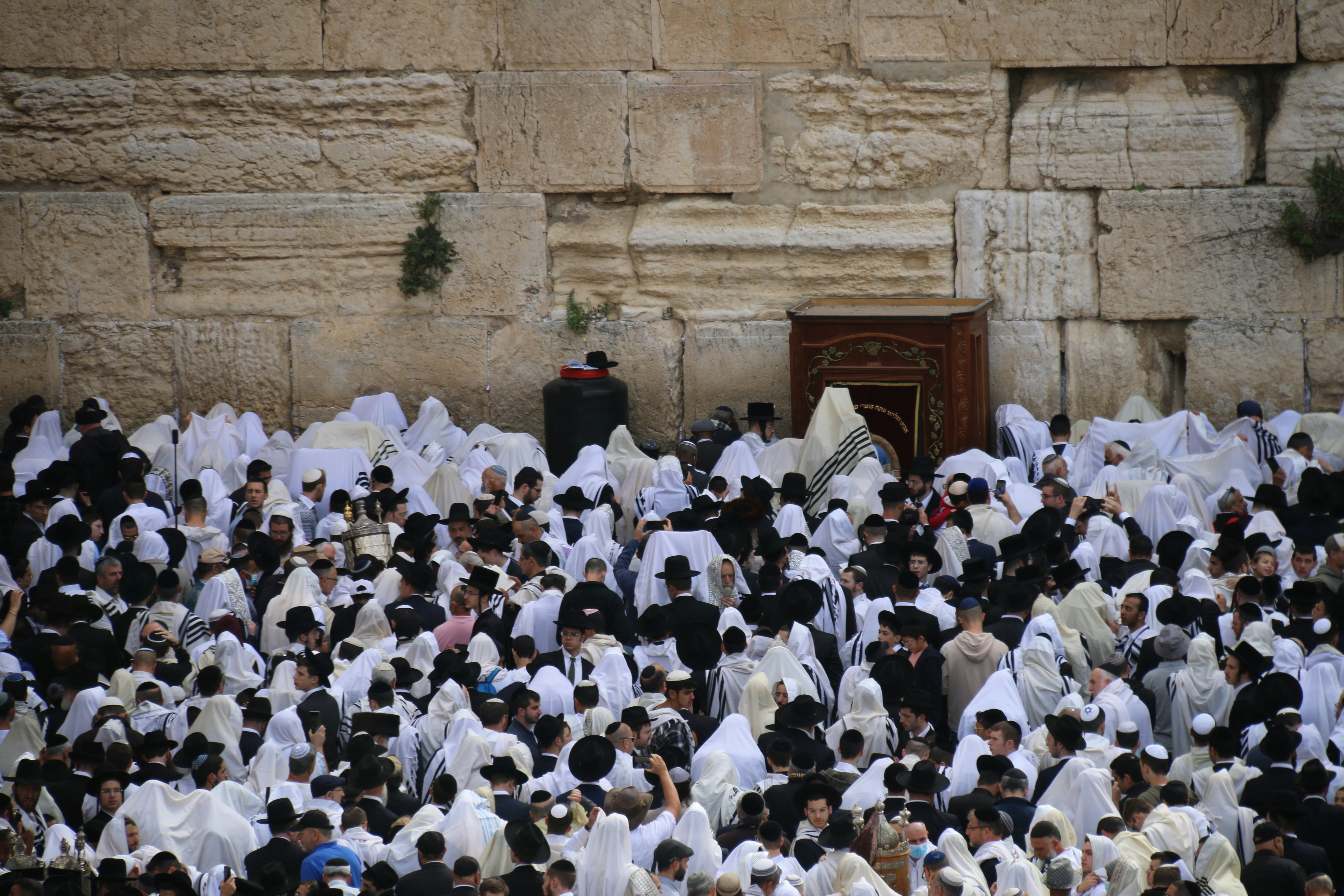 Photo by israelmeir