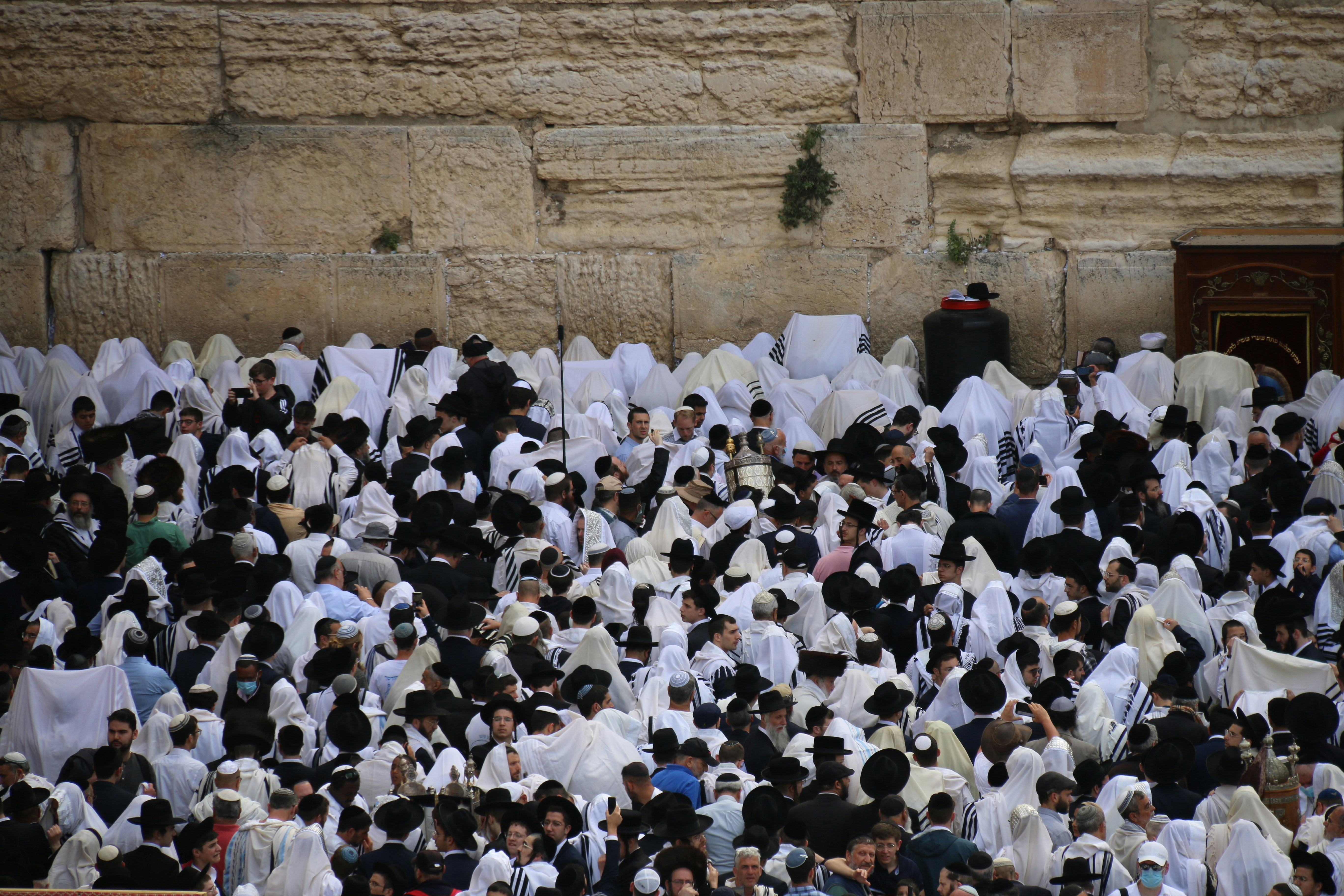 Photo by israelmeir