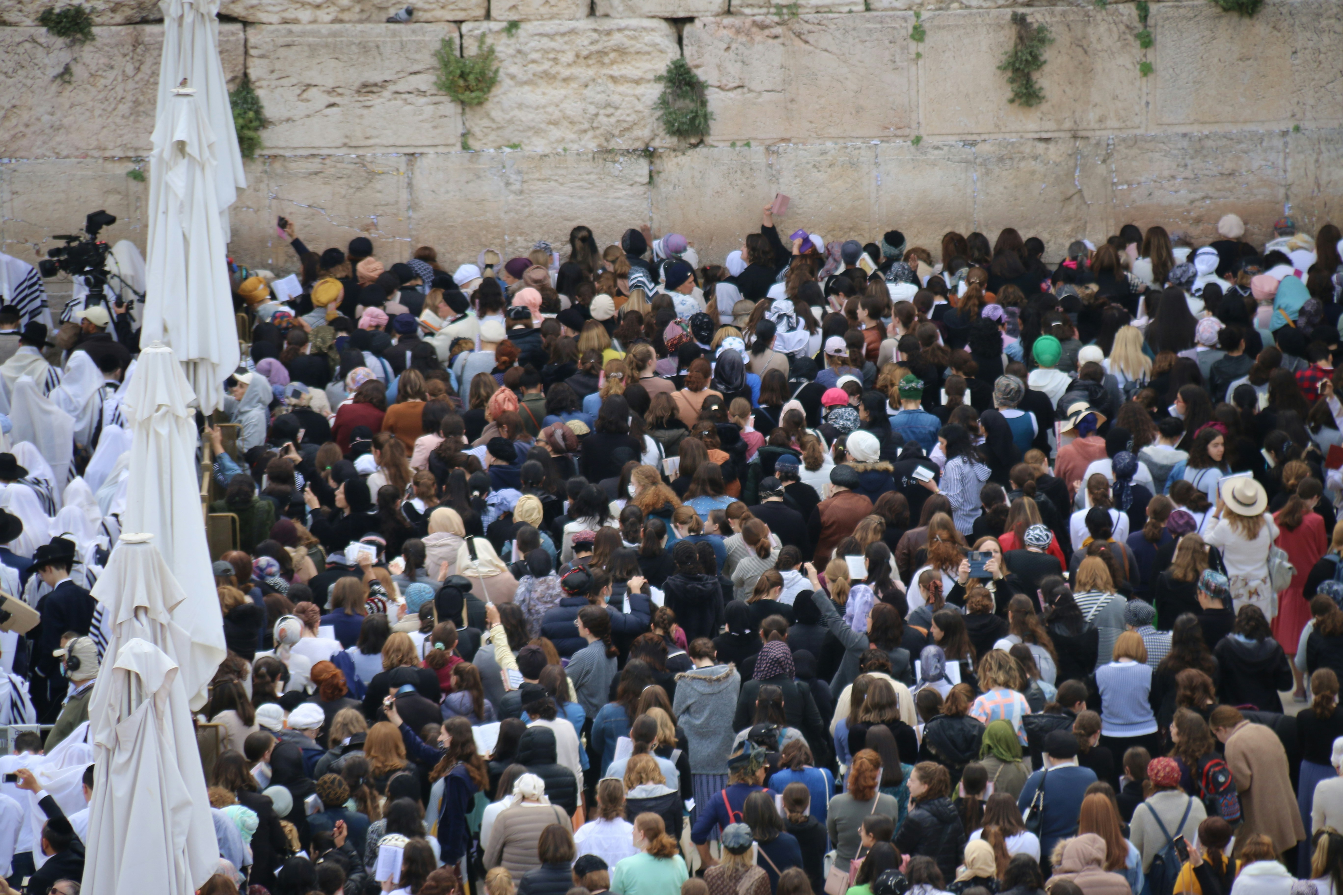 Photo by israelmeir