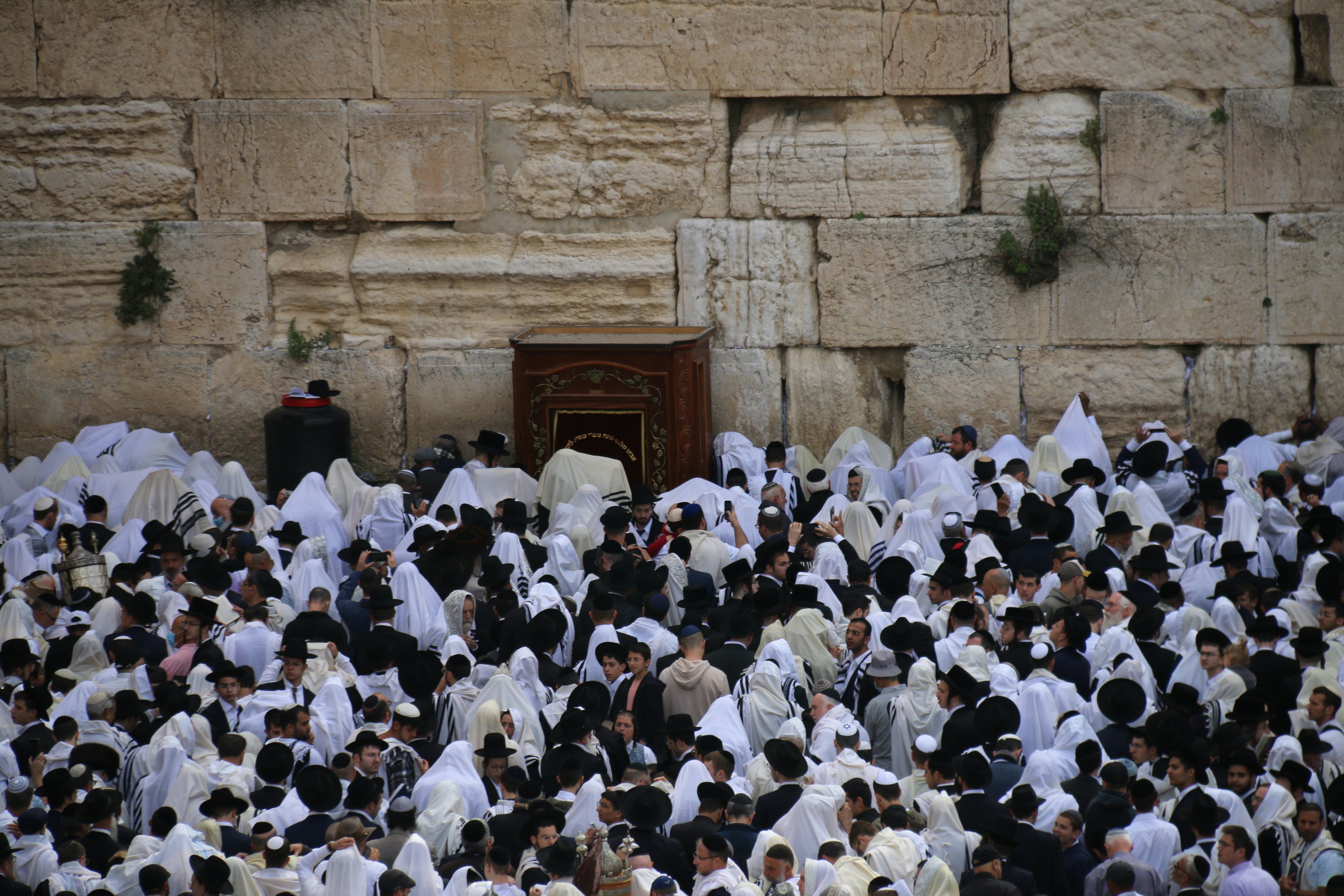 Photo by israelmeir