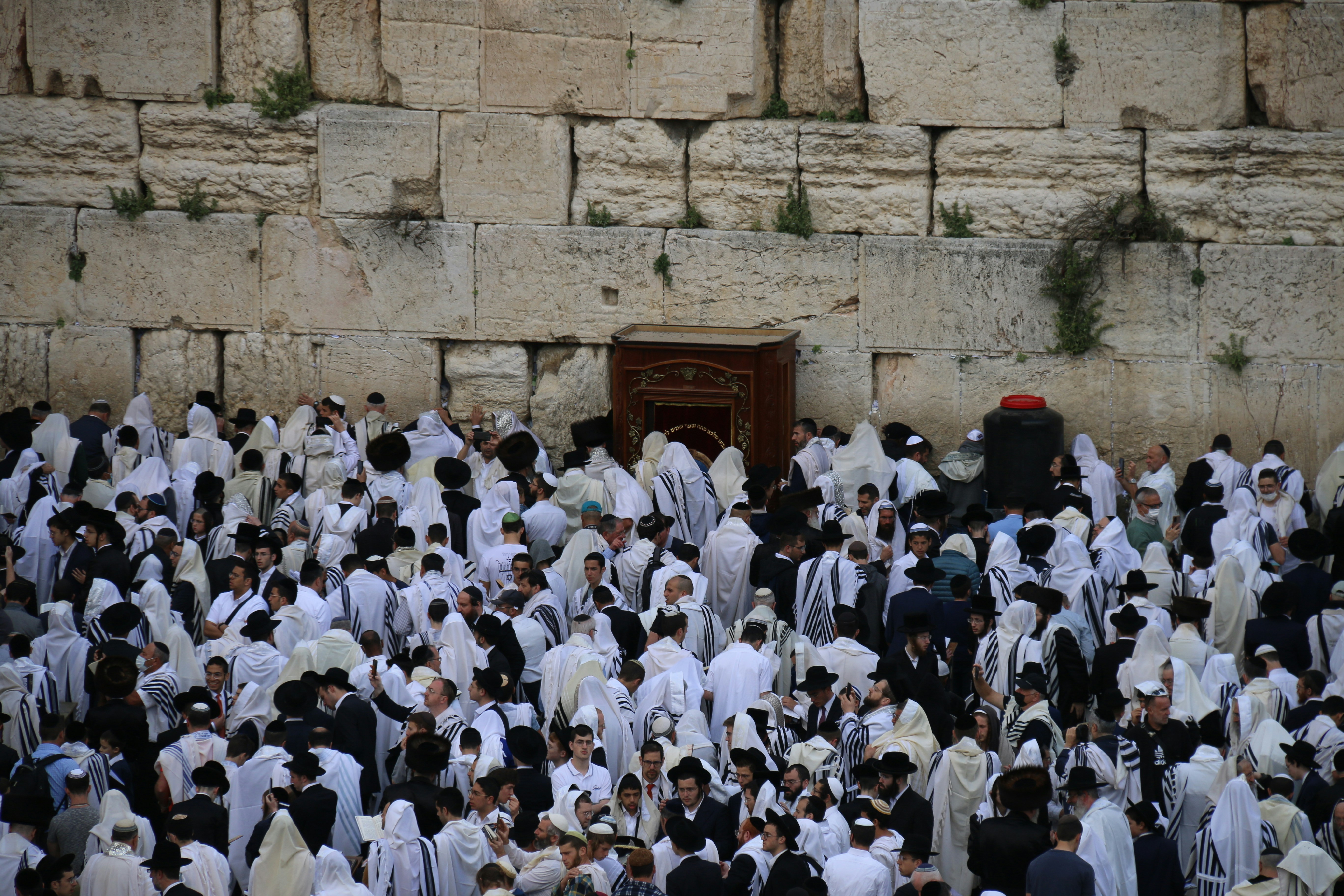 Photo by israelmeir