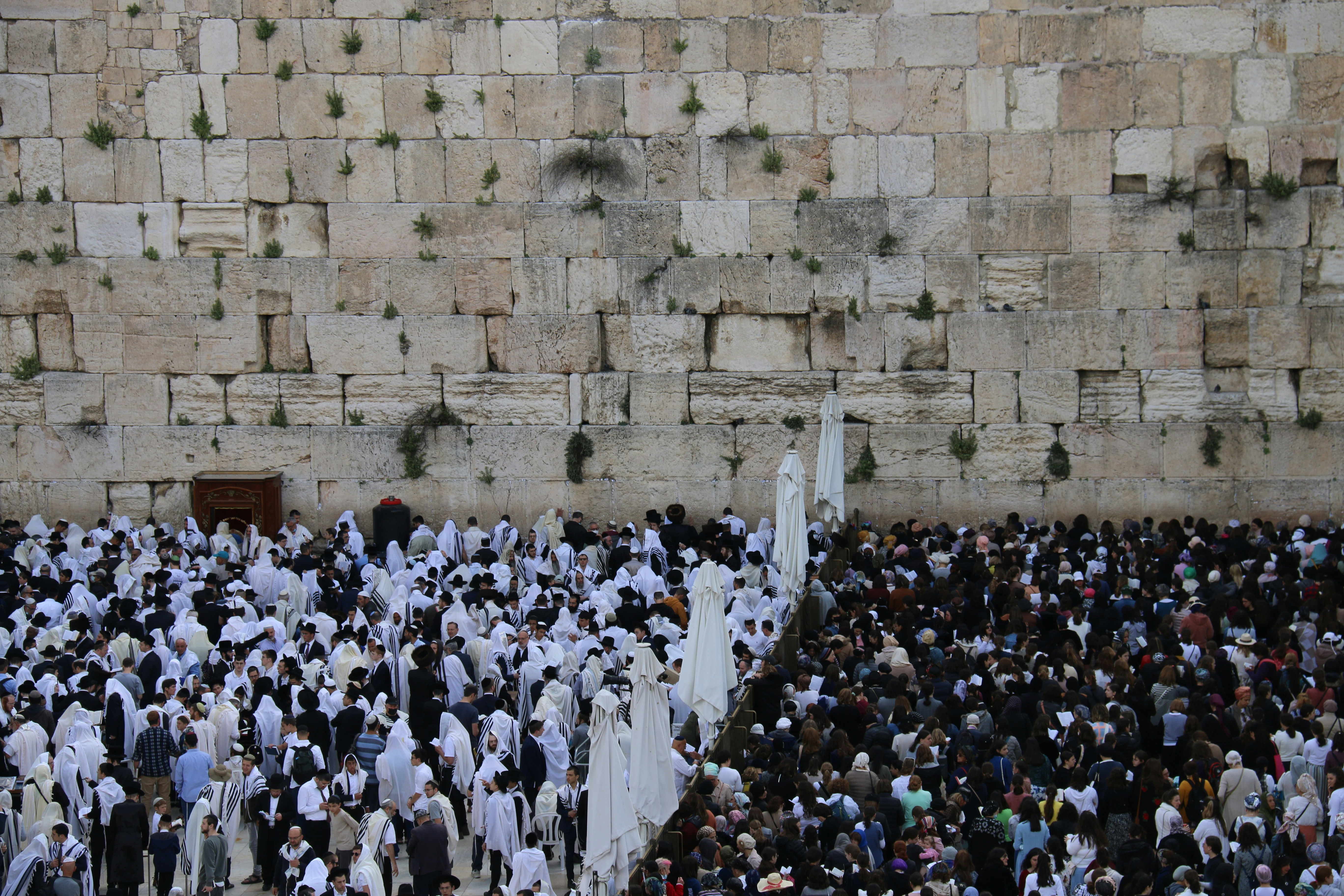 Photo by israelmeir