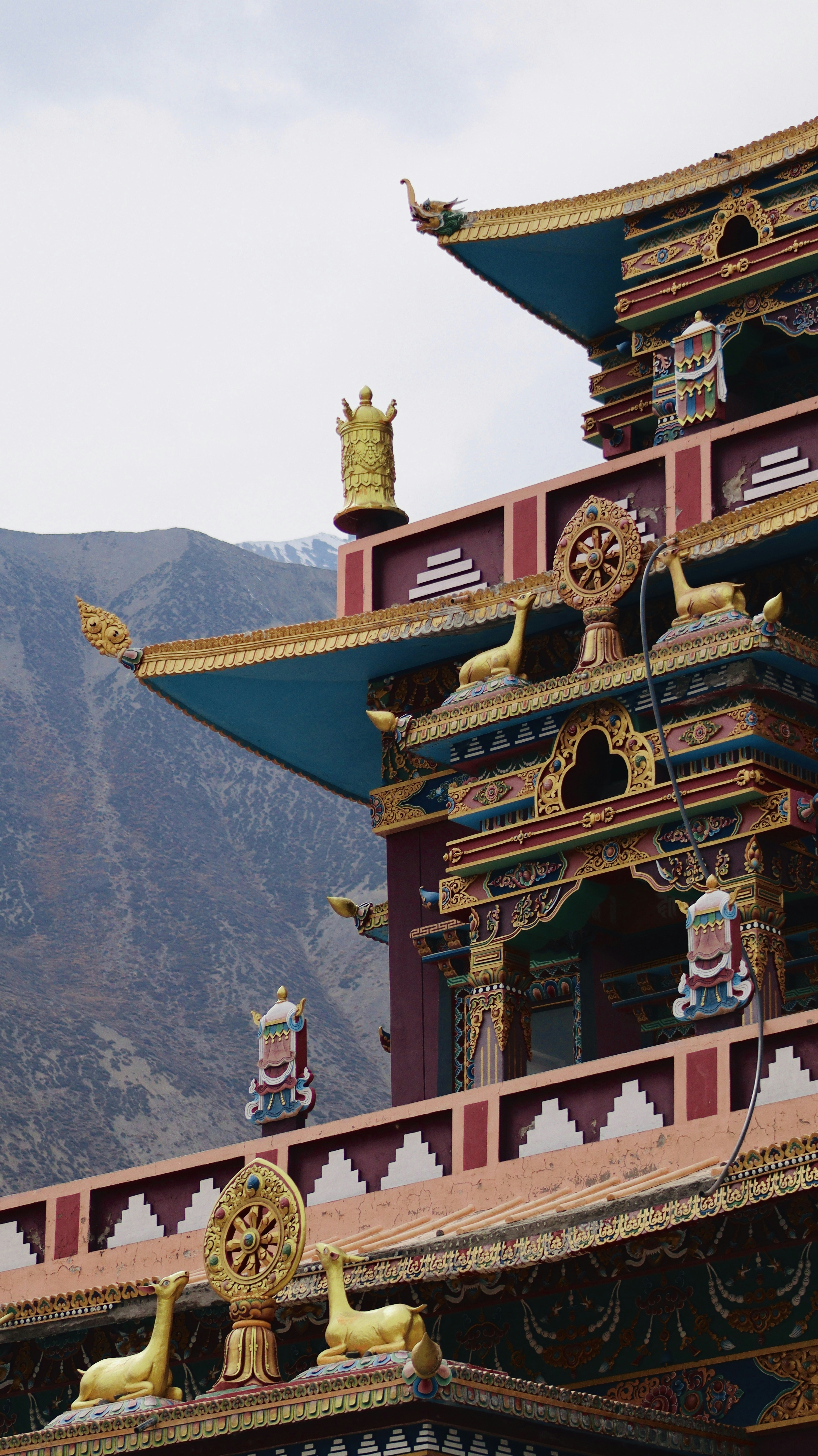 Photo by sangam_sharma