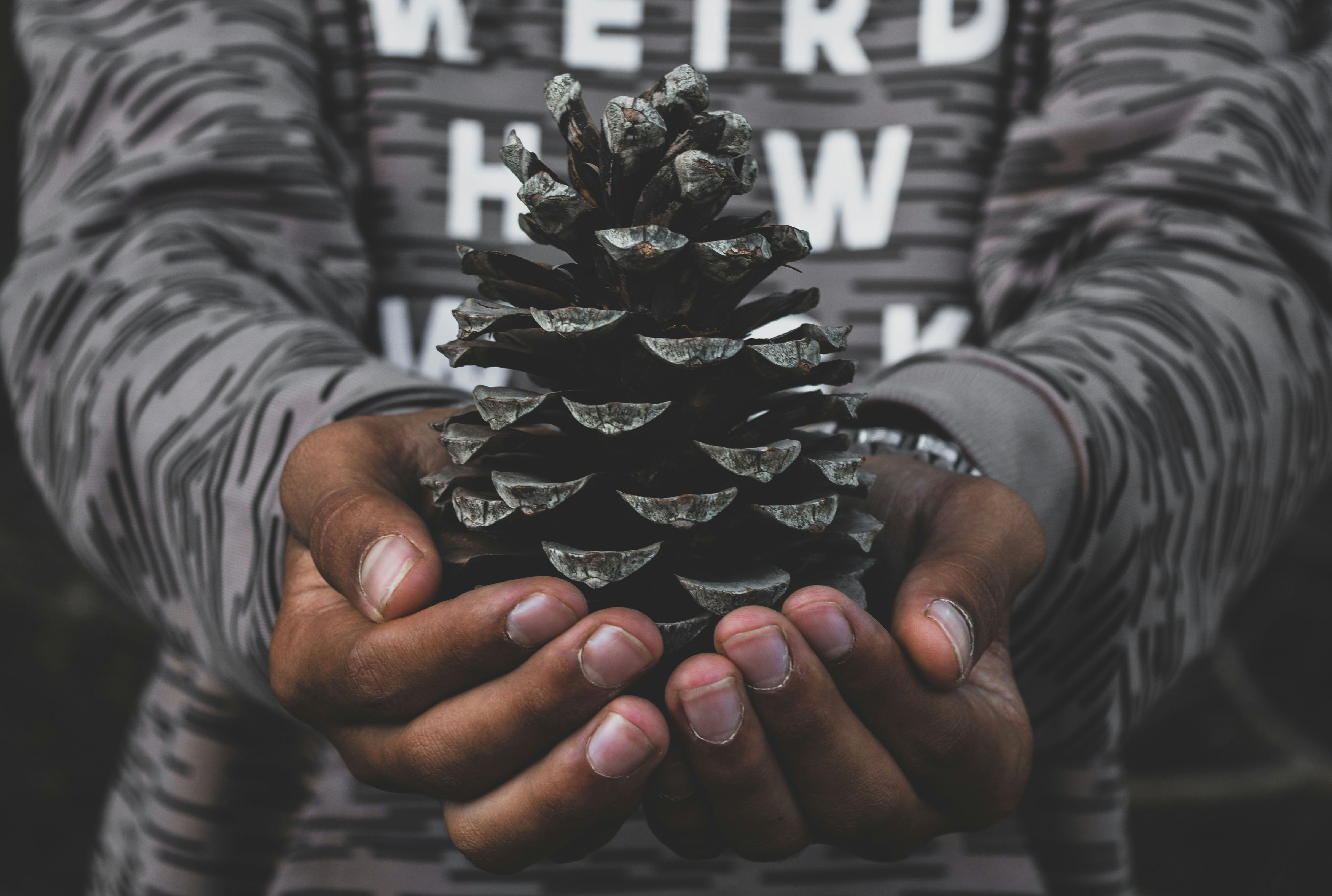 Photo by samiboudjelti