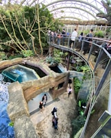 An indoor setting featuring a large, glass-covered walkway where people are observing a habitat that includes a small pool of water. Lush greenery surrounds the area, with tall trees and various plants. Multiple visitors are seen exploring the environment from both the ground level and the elevated pathway. The atmosphere is vibrant and alive with natural elements integrated into the architecture.