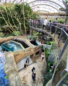 An indoor setting featuring a large, glass-covered walkway where people are observing a habitat that includes a small pool of water. Lush greenery surrounds the area, with tall trees and various plants. Multiple visitors are seen exploring the environment from both the ground level and the elevated pathway. The atmosphere is vibrant and alive with natural elements integrated into the architecture.