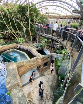 An indoor setting featuring a large, glass-covered walkway where people are observing a habitat that includes a small pool of water. Lush greenery surrounds the area, with tall trees and various plants. Multiple visitors are seen exploring the environment from both the ground level and the elevated pathway. The atmosphere is vibrant and alive with natural elements integrated into the architecture.