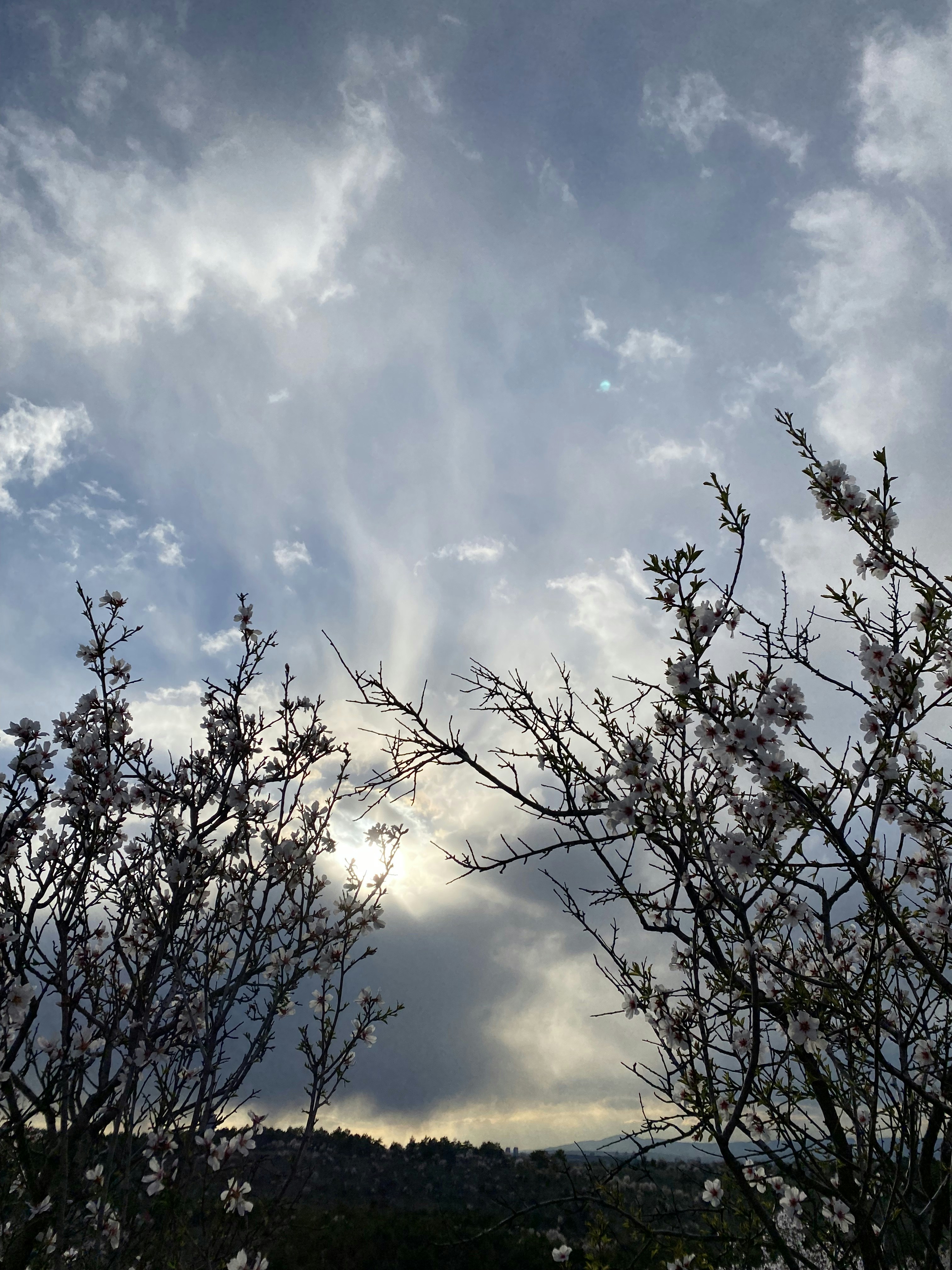 Die Sonne scheint durch die Wolken über den Bäumen