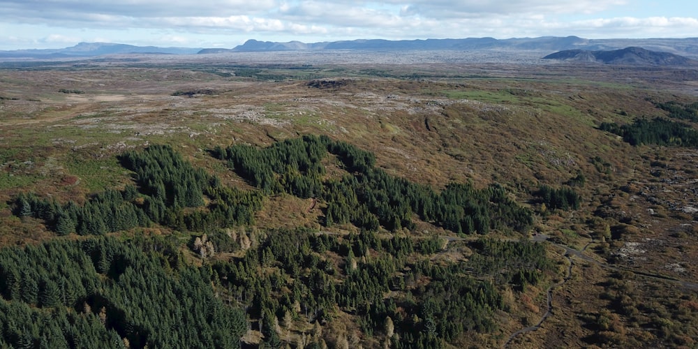 an aerial view of a forest with mountains in the background