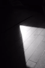 Close-up of a shiny, freshly cleaned floor reflecting soft natural light.