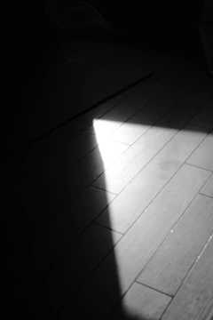 Close-up of a shiny, freshly waxed wooden floor reflecting soft light.