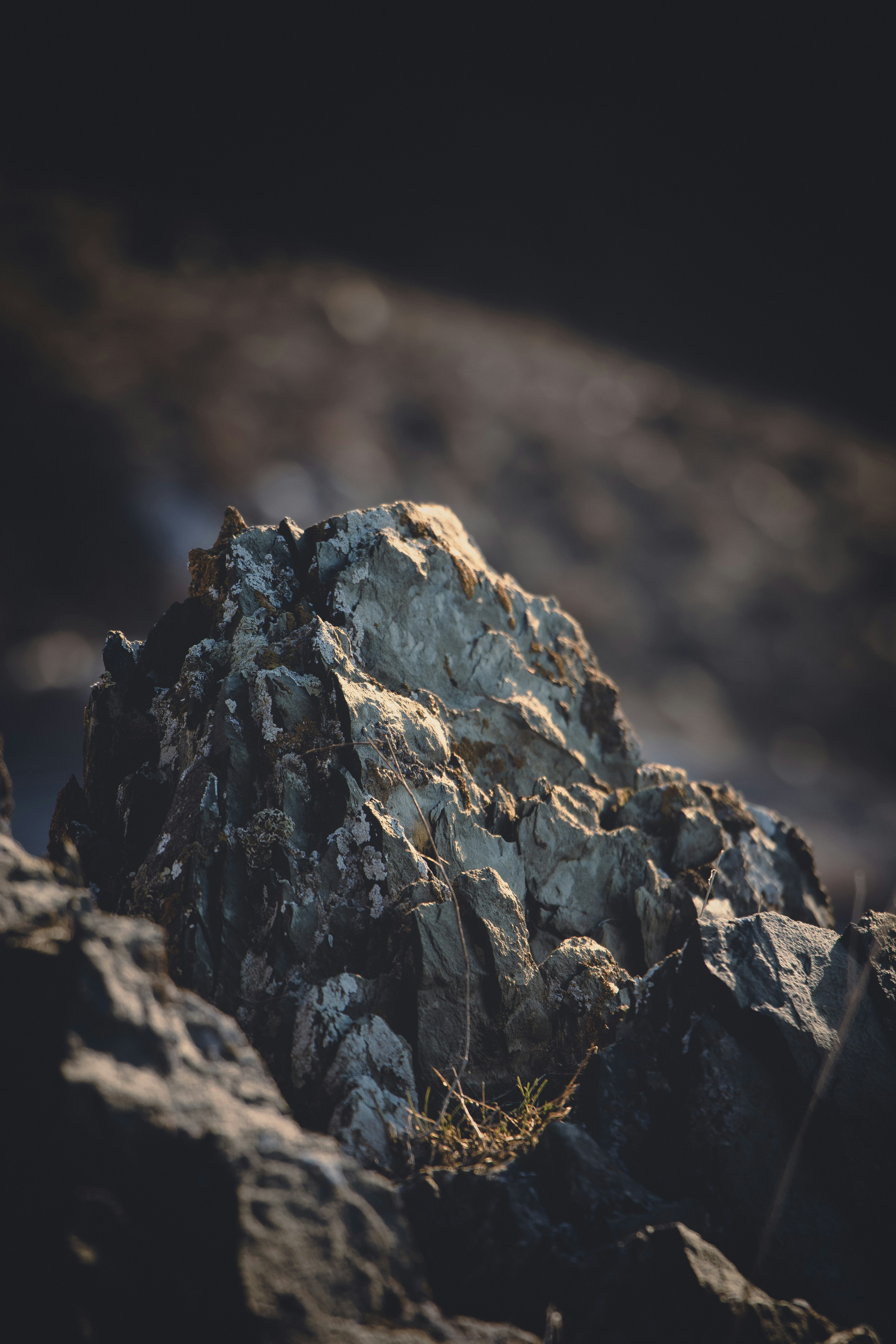 Photo by mahdibafande