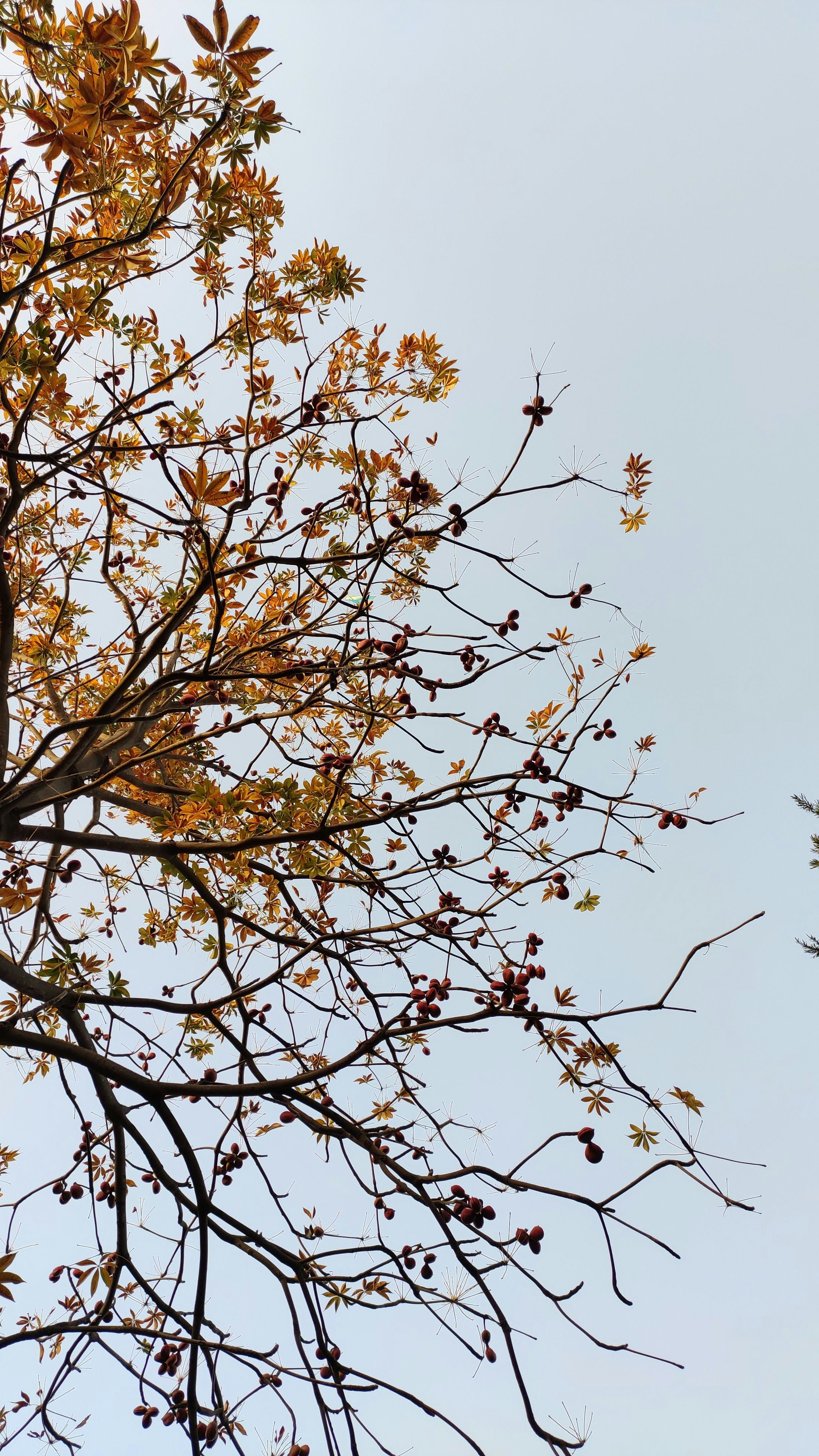 Photo by dev_makwana