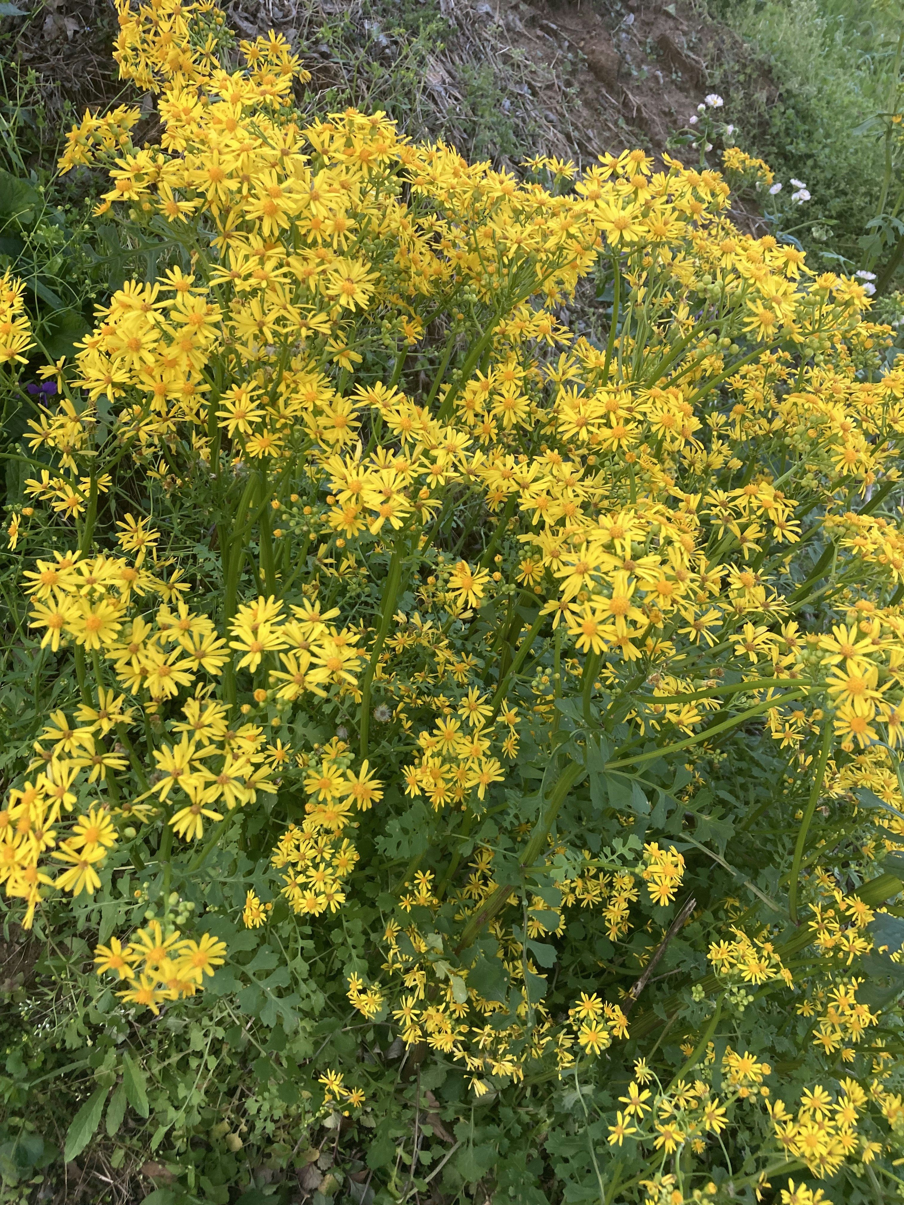 Photo by taylorsphotography2016